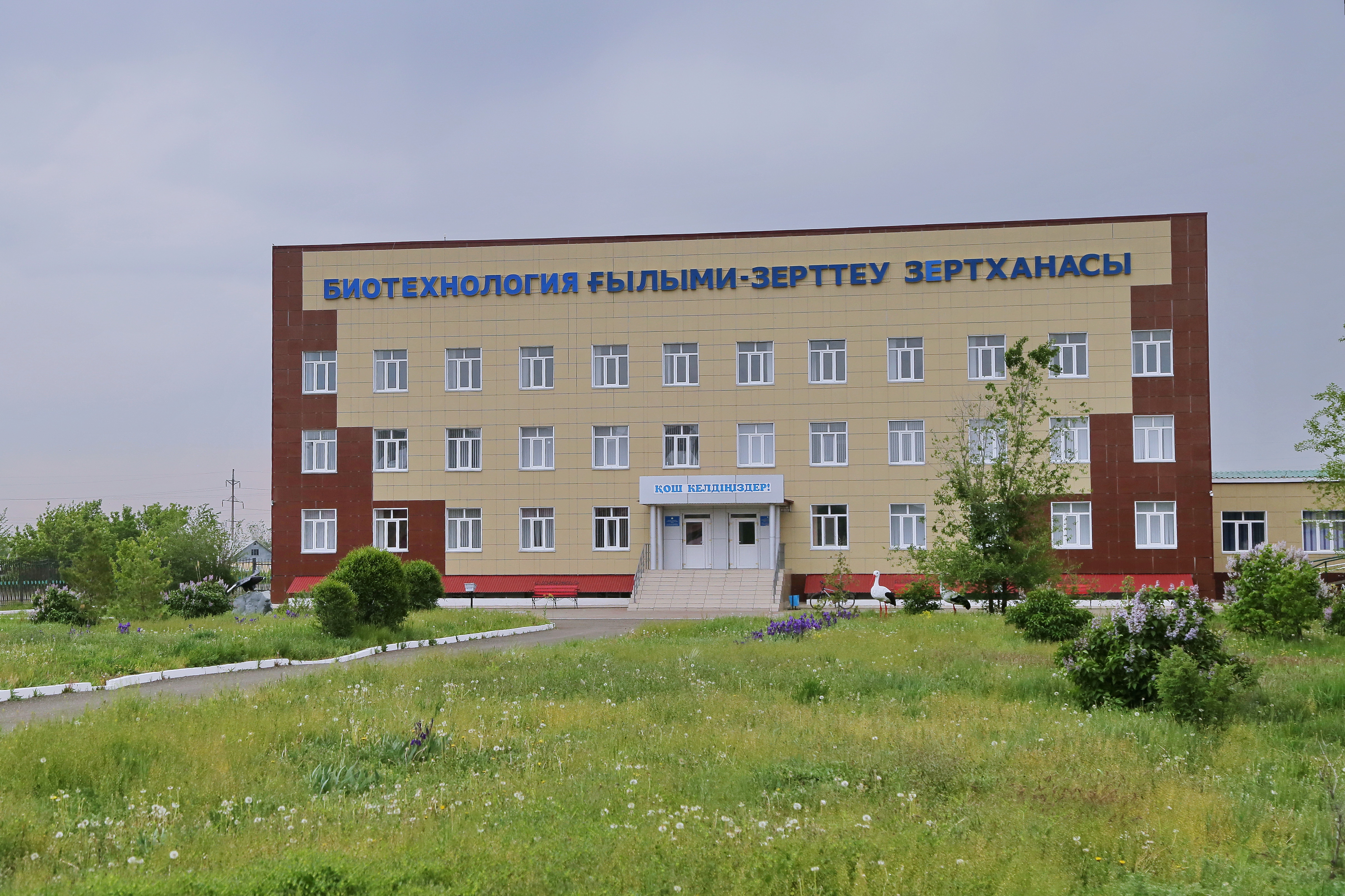 Университет және талапкер: жоғары білім алудың мүмкіндіктері