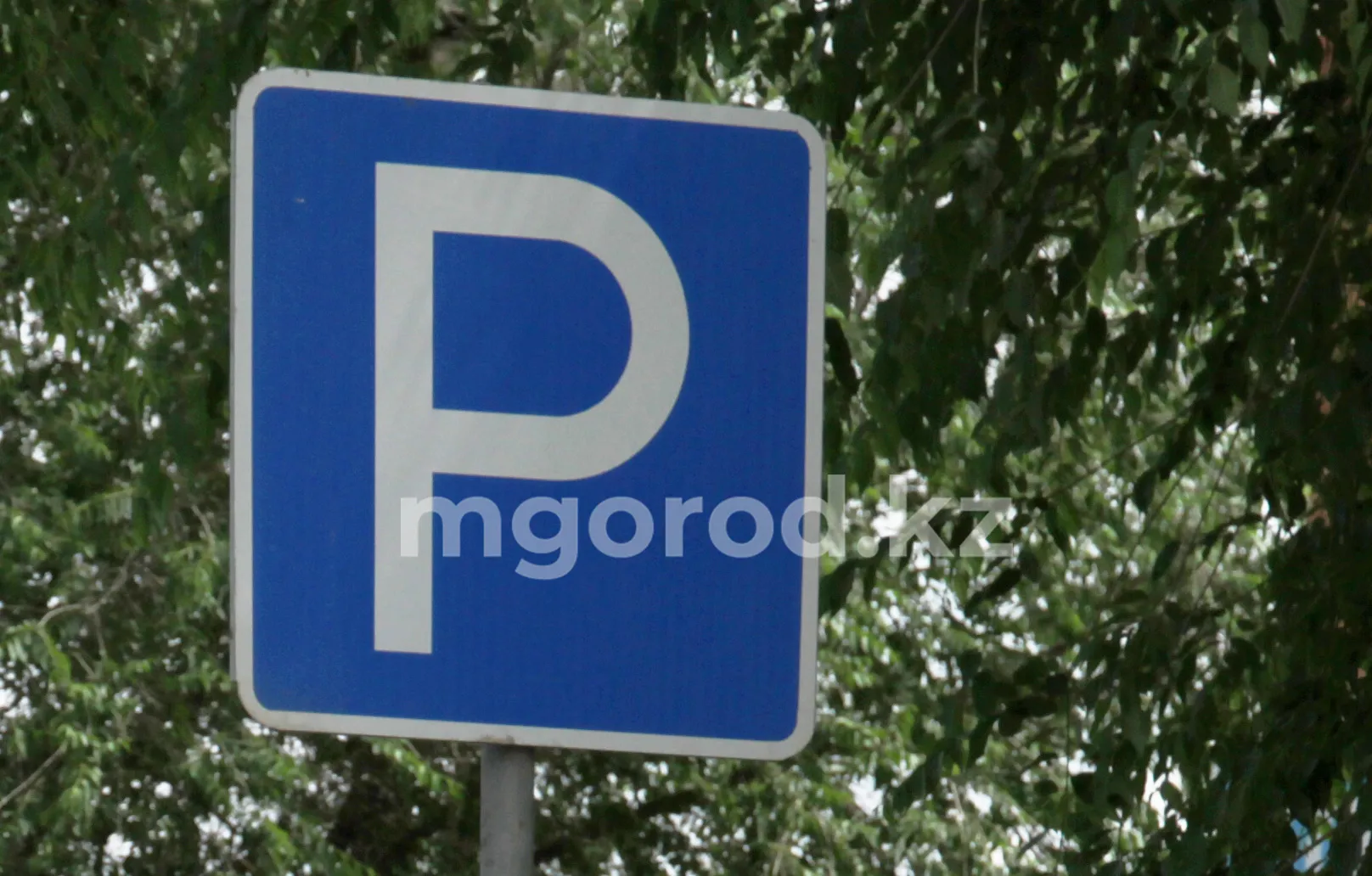 Жители Атырау смогут отправлять нарушения водителей через Telegram-бот