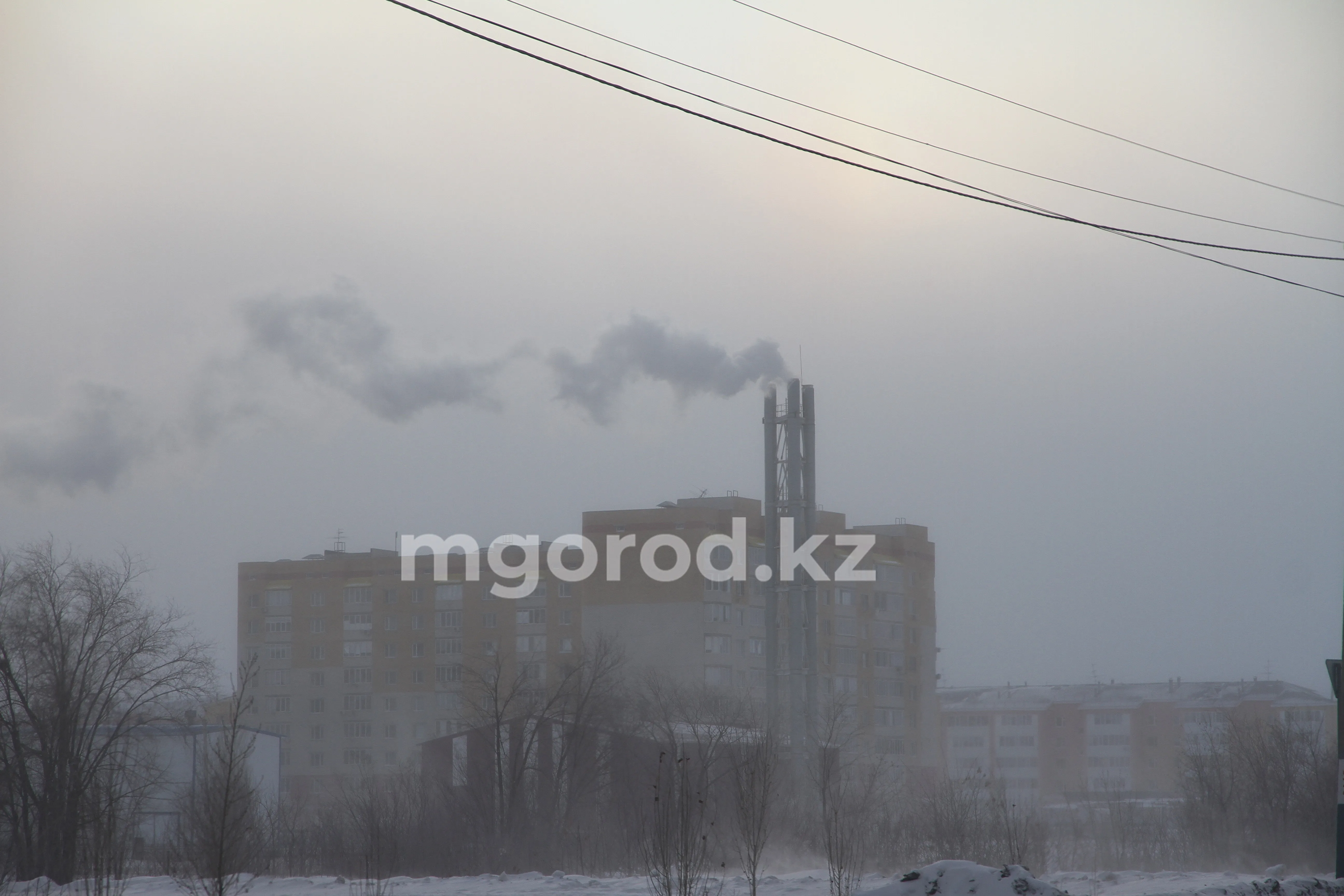 Туман ожидается в ЗКО