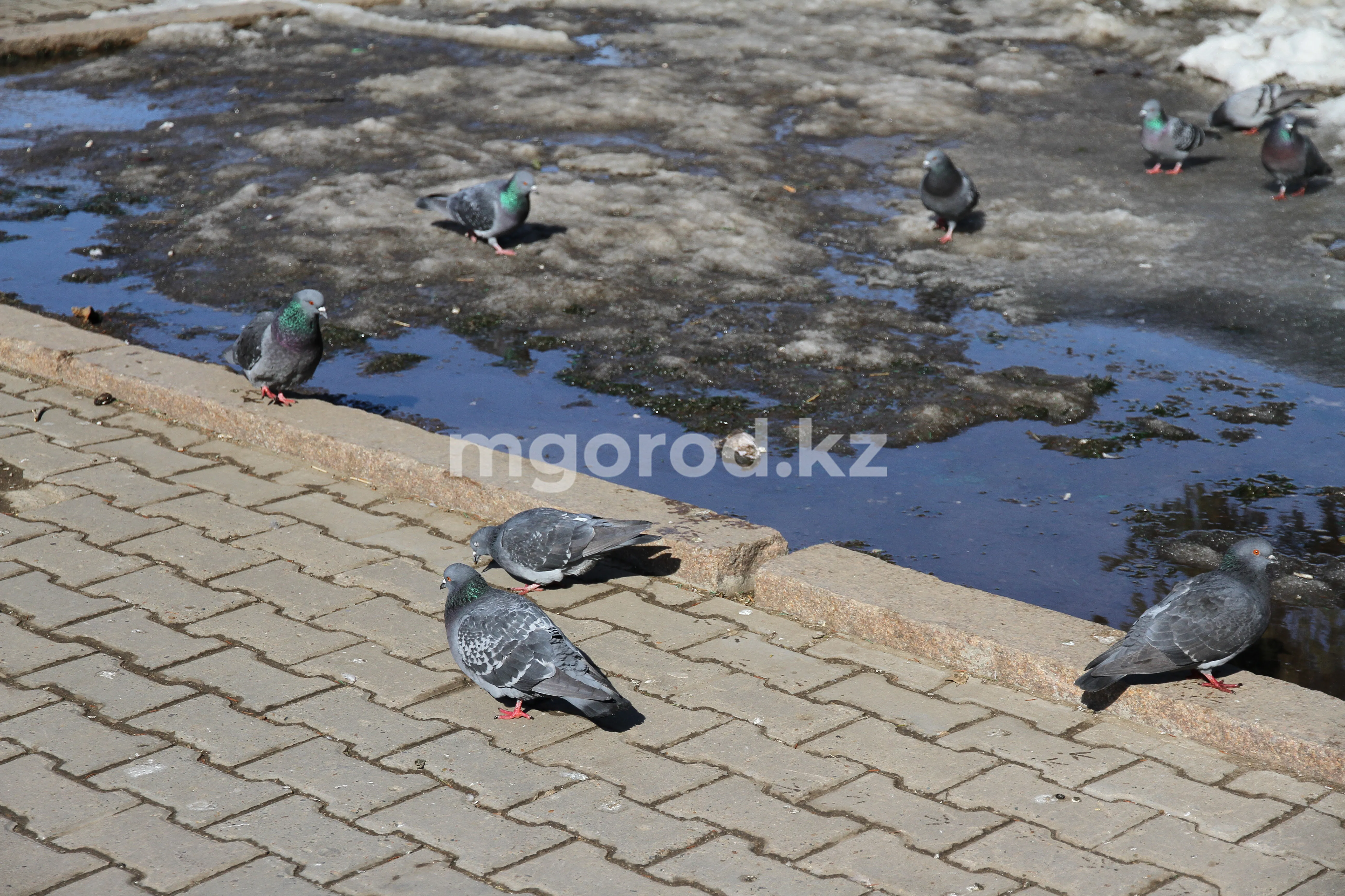 До 18 градусов тепла ожидается в ЗКО 3 апреля