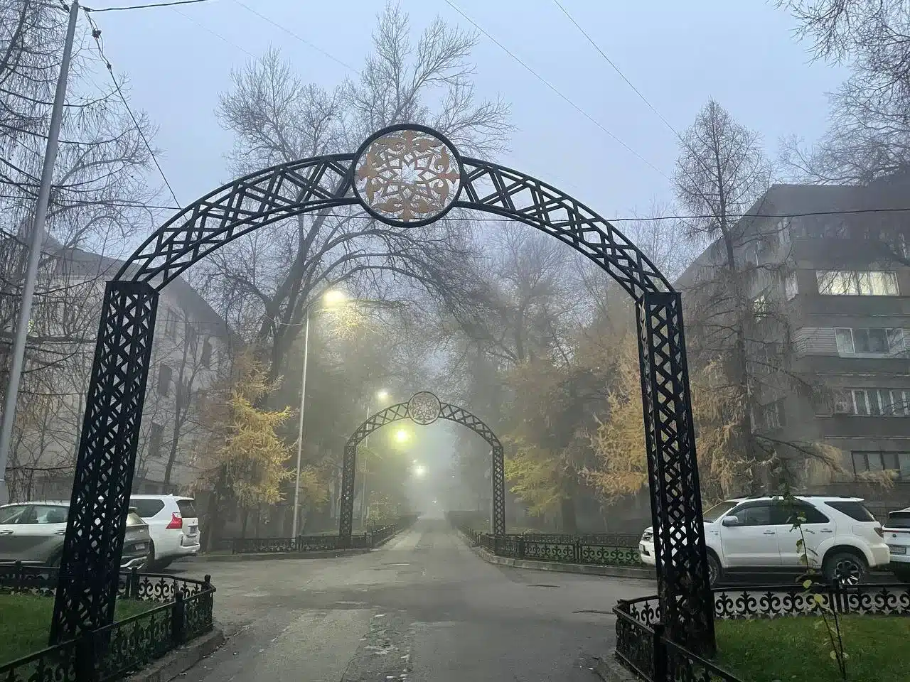 Туман ожидается в ЗКО