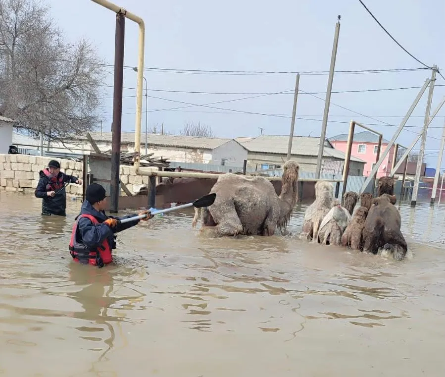 Режим ЧС объявили в Атырауской области