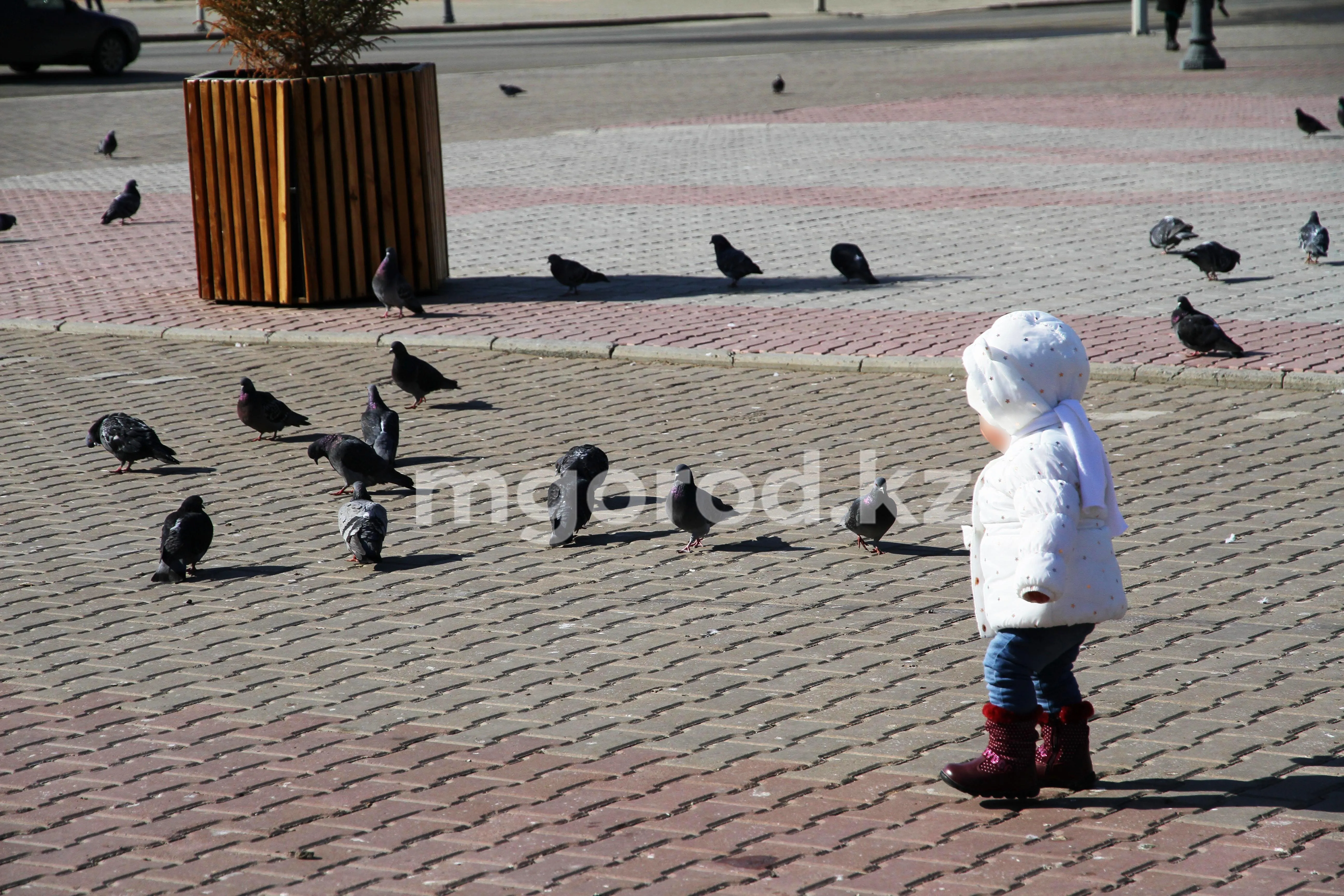 Теплая погода без осадков ожидается на западе Казахстана 9 апреля