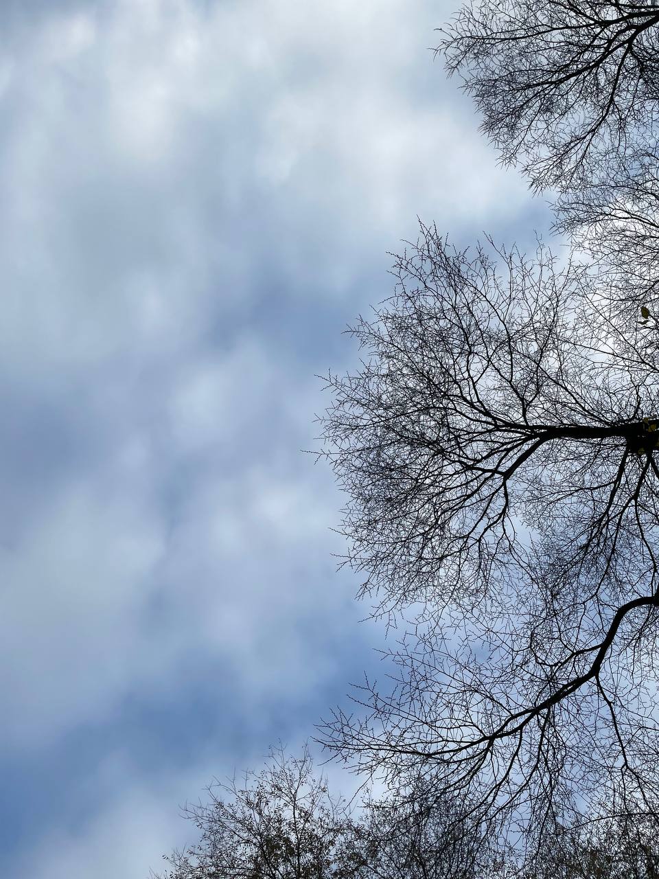 Дожди прогнозируют на западе Казахстана