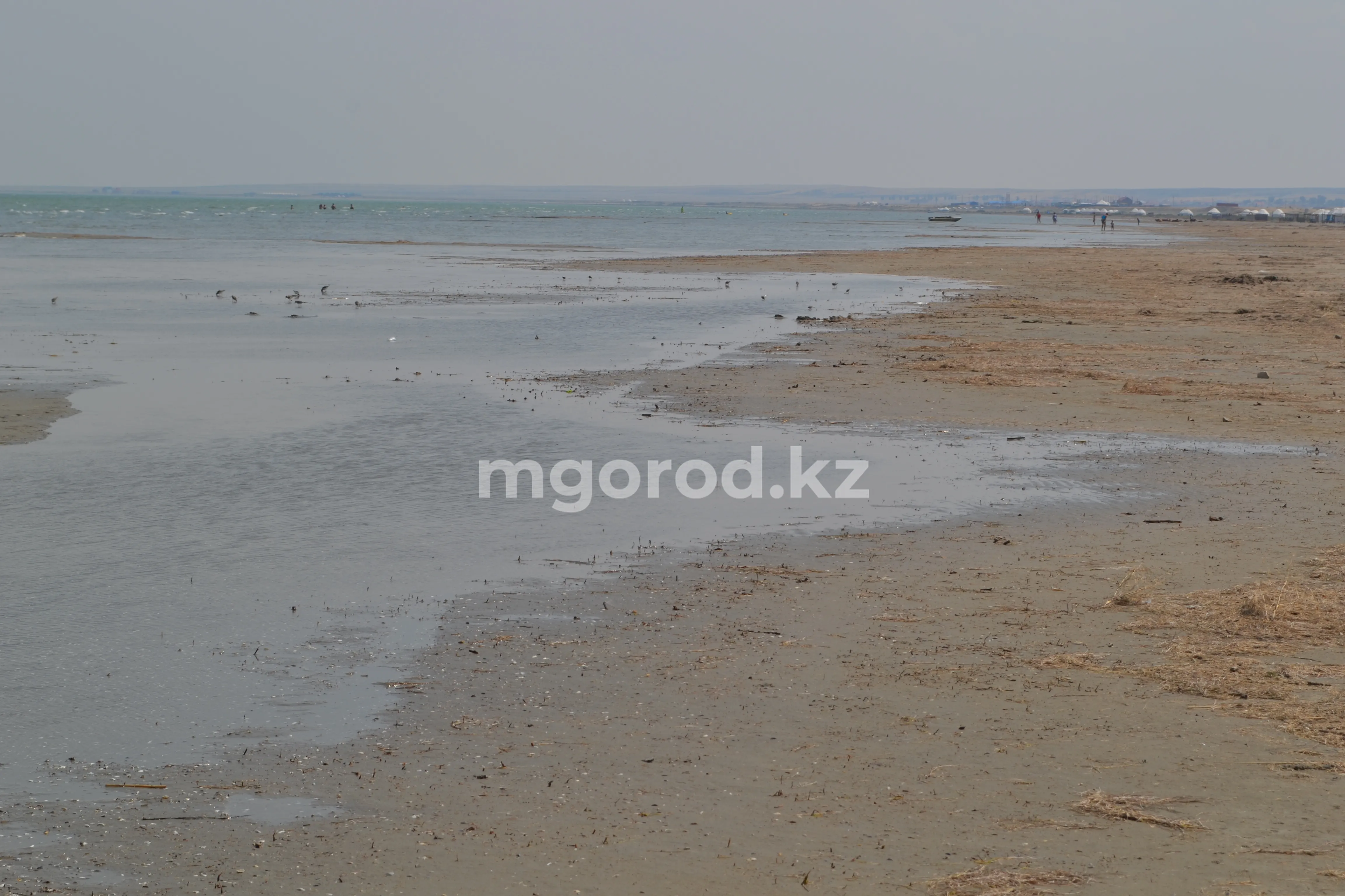 В ЗКО планируют подавать паводковую воду в озера