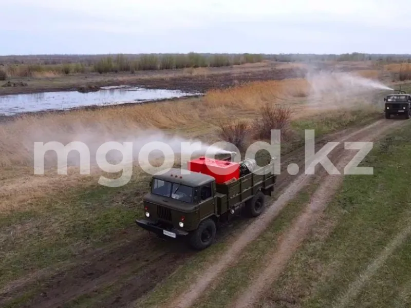 216 млн тенге выделили на травлю гнуса в ЗКО