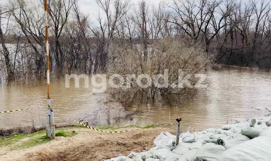 Ожидаем спад воды в Урале — «Казгидромет» по ЗКО