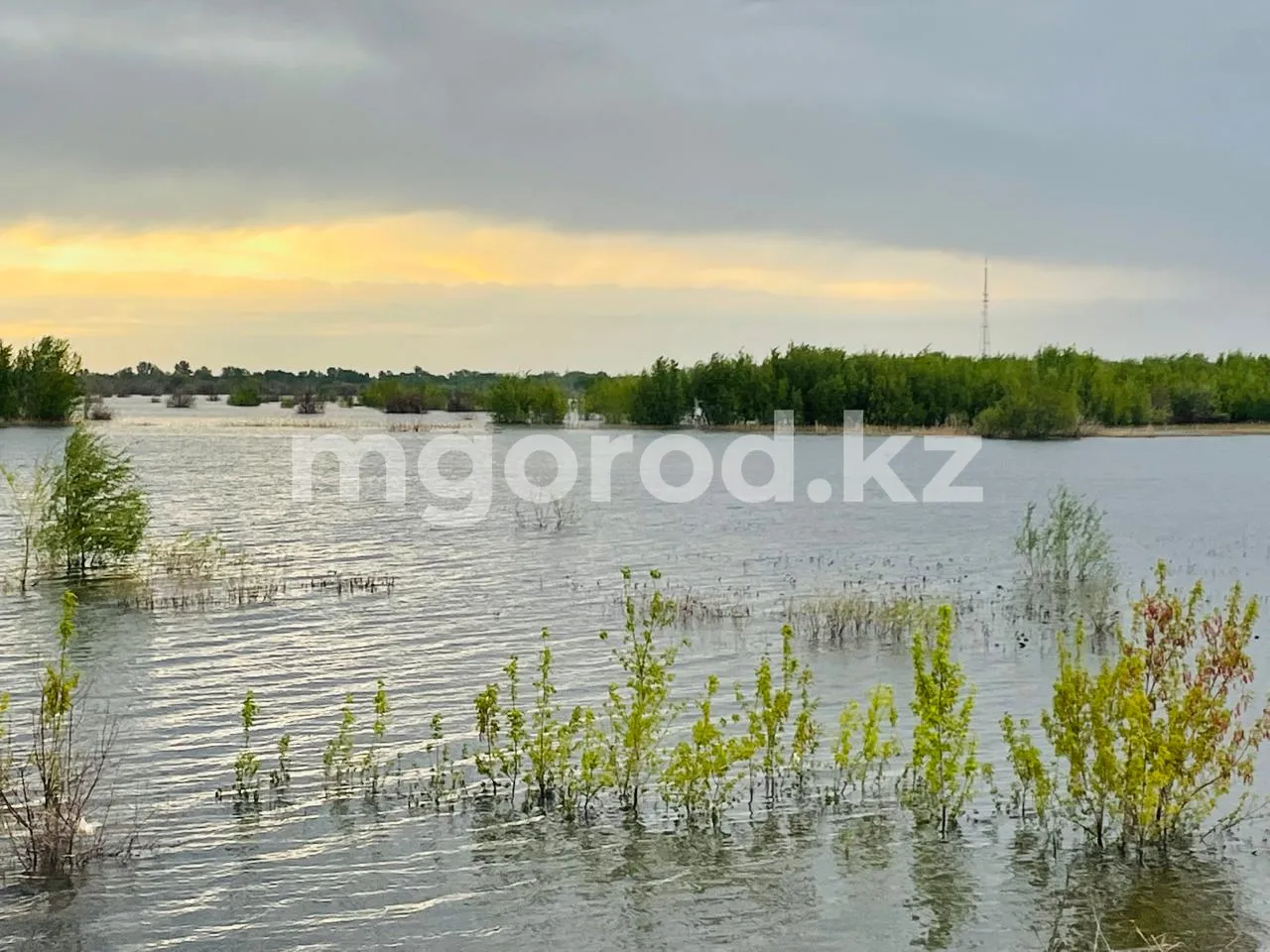 Какая погода ожидает жителей западного Казахстана 8 мая