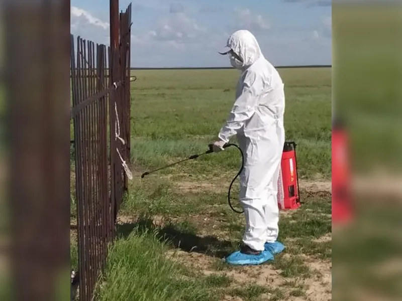 Когда начнется дезинфекция затопленных дач Уральска