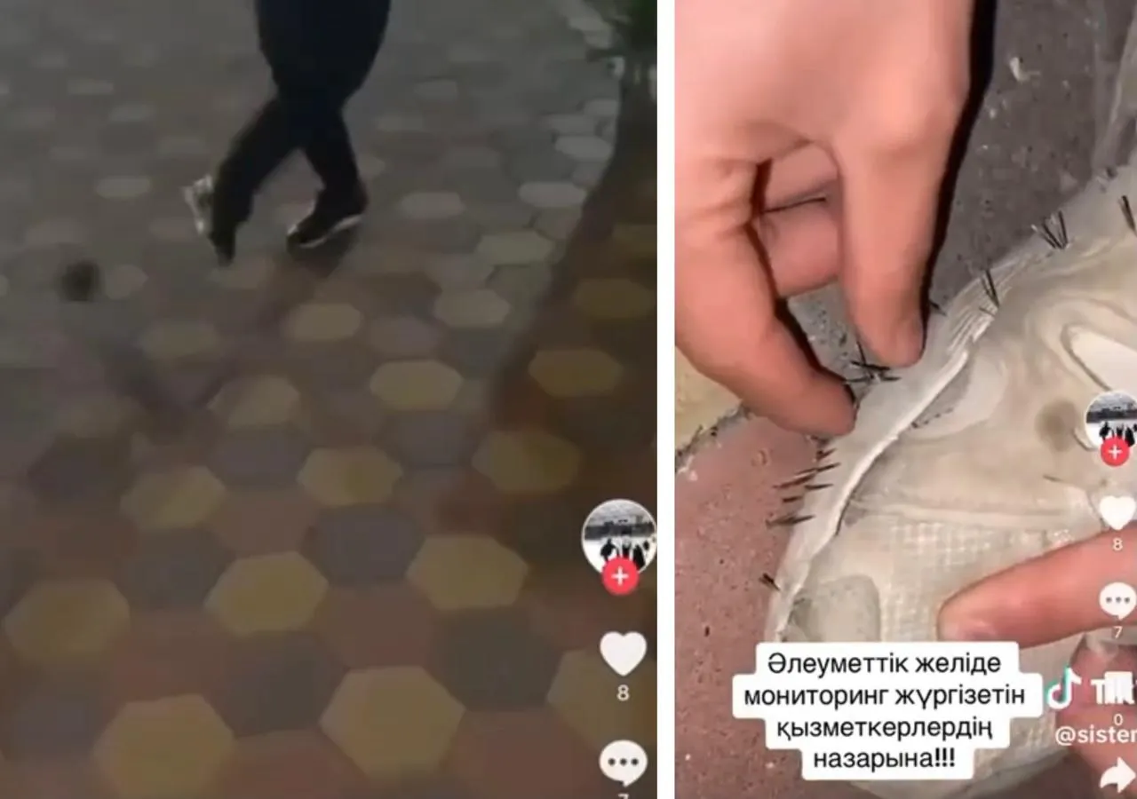 Жители Актобе сыграли в футбол с живым ежом