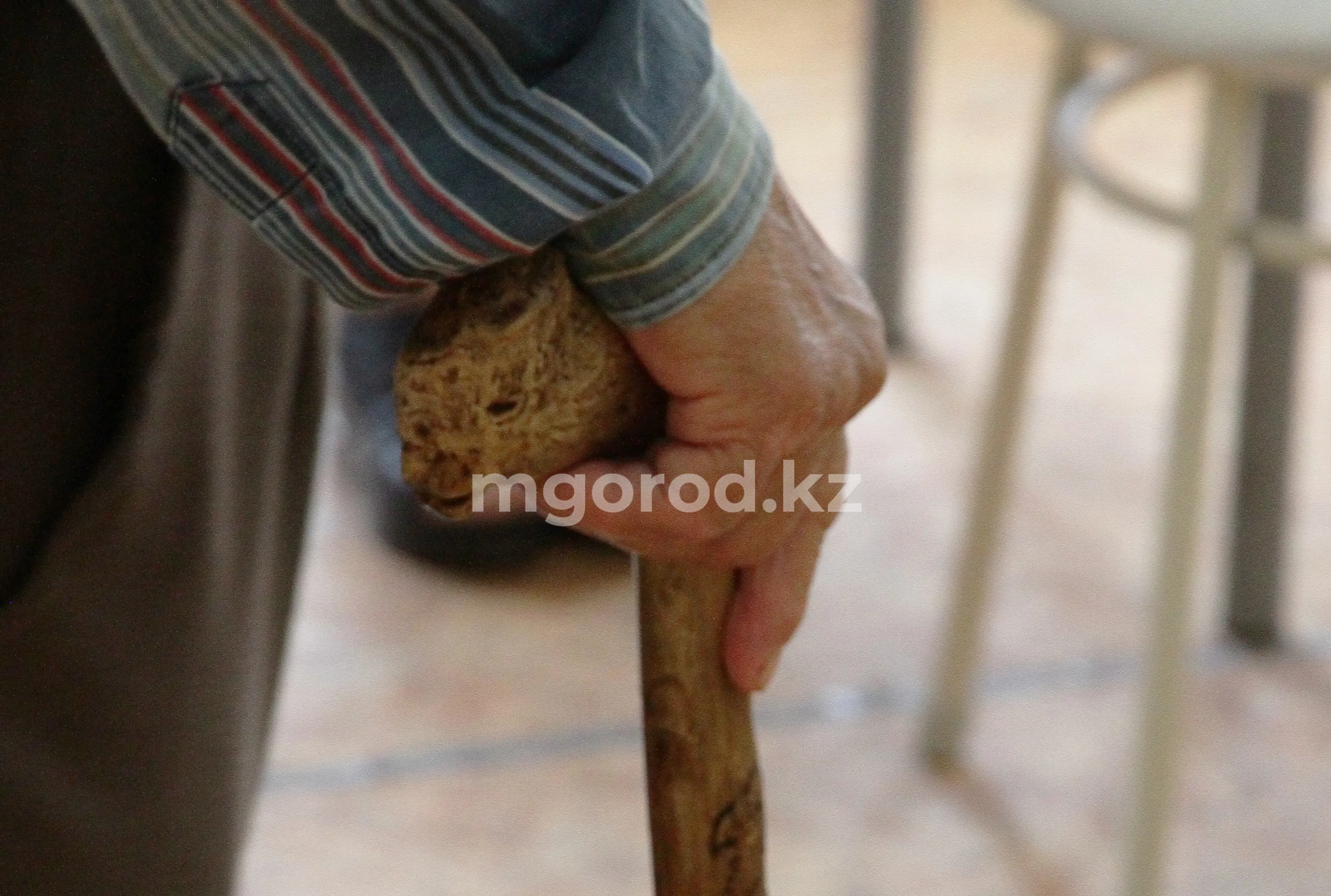 В Казахстане на одного столетнего дедушку приходится сразу четыре столетних бабушки