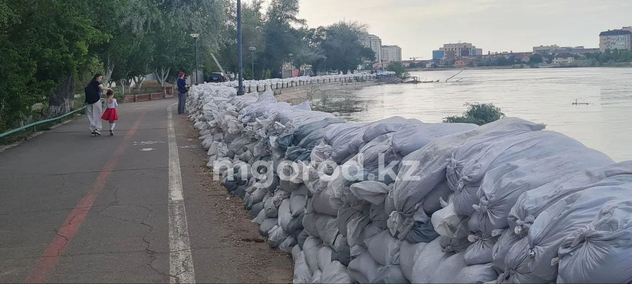 Жители Атырау жалуются на обилие комаров
