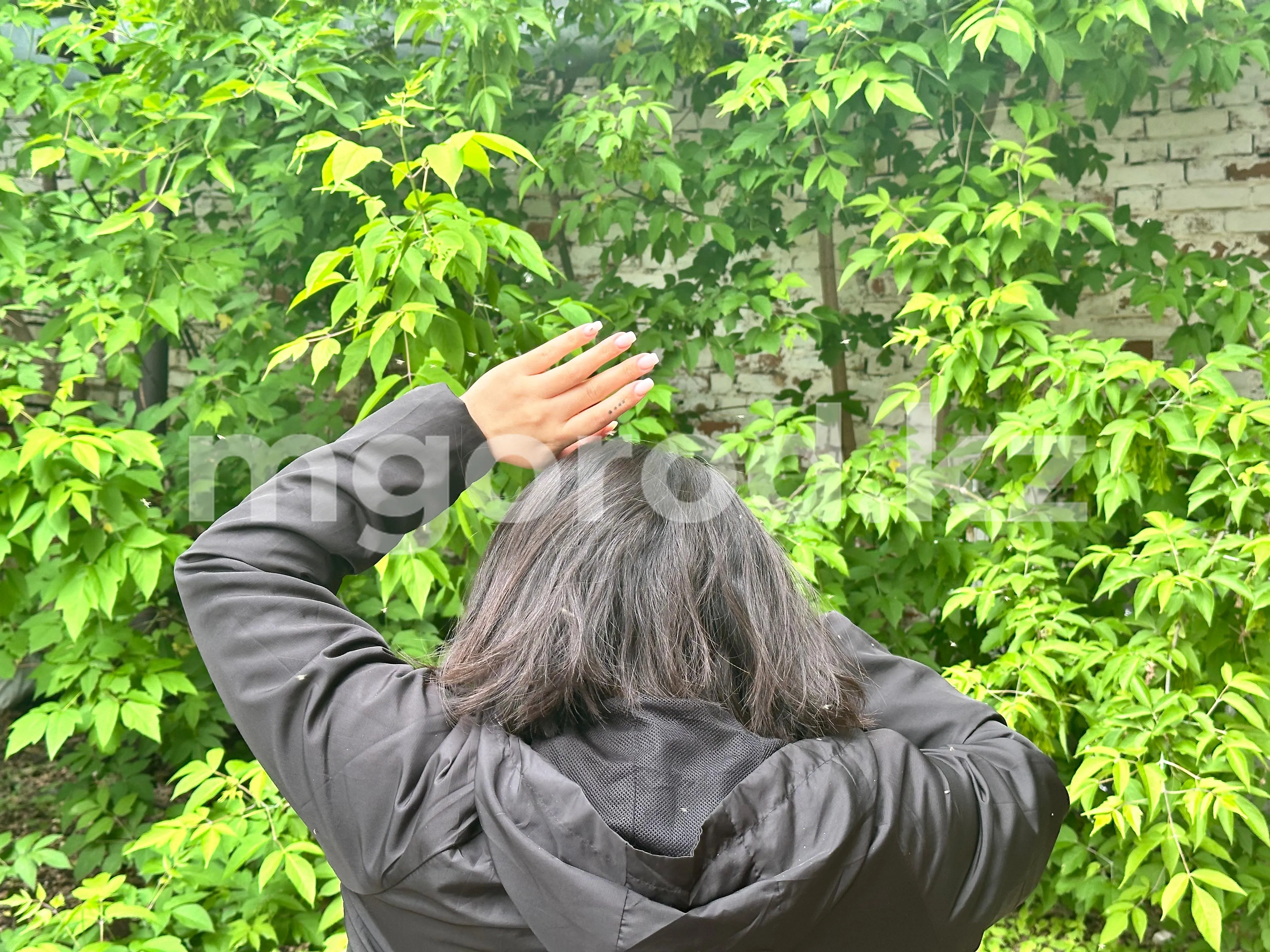 На травлю гнуса в Уральске дополнительно выделили 105 млн тенге