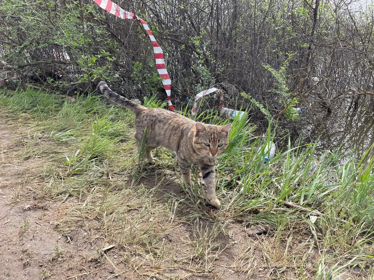 Погода в ЗКО на 2 июня