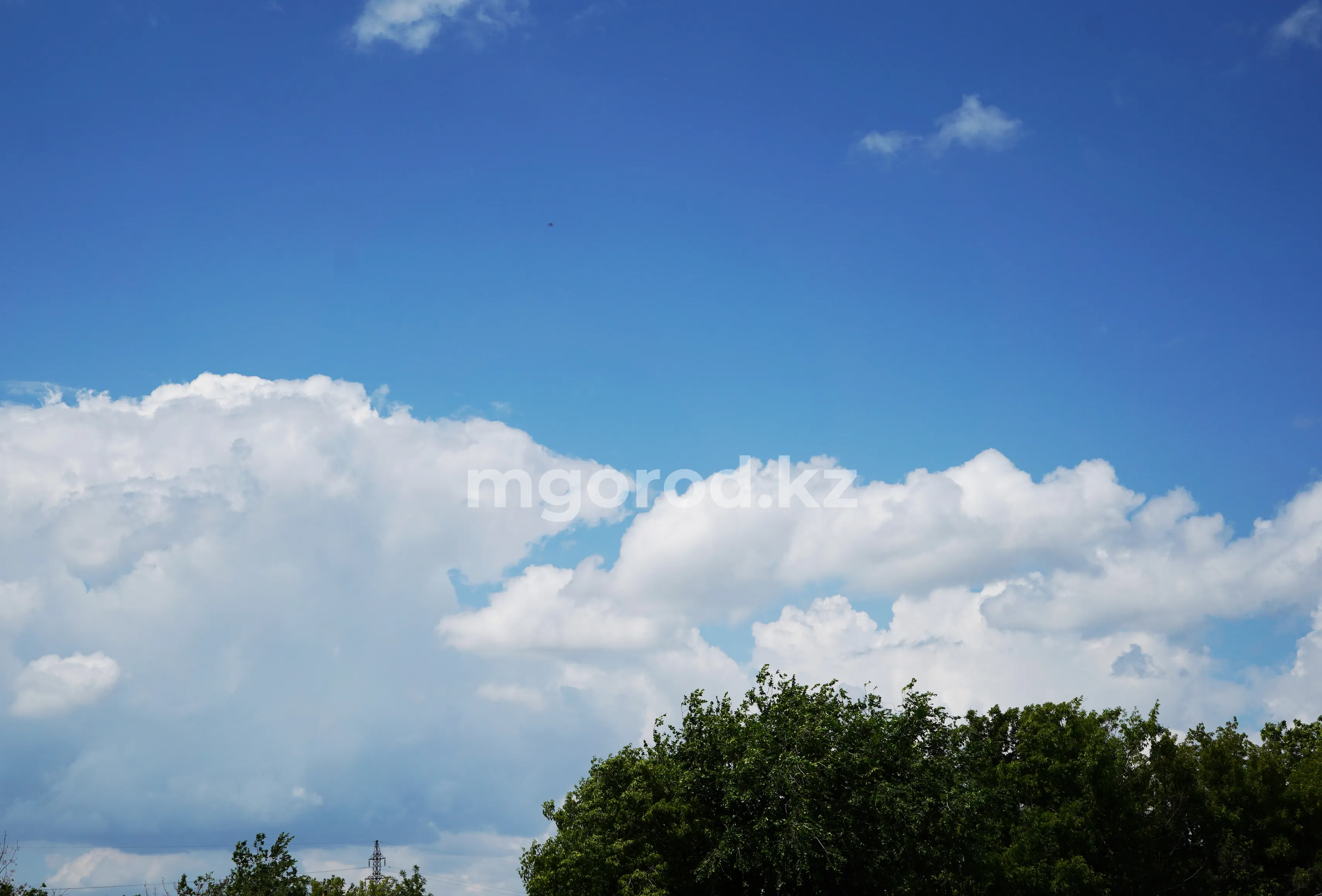 Синоптики рассказали, каким будет лето в ЗКО