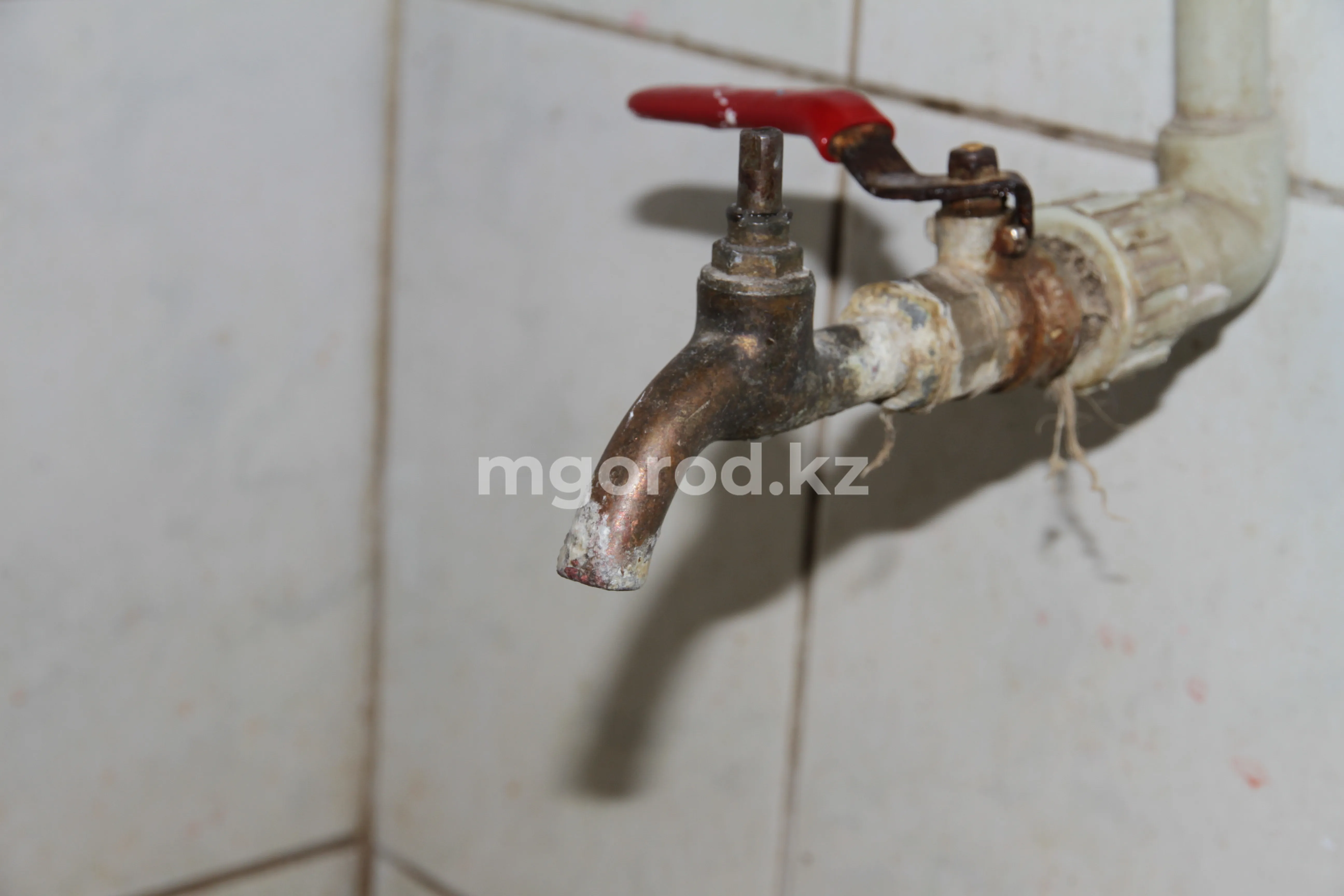 В Атырау установили график полива насаждений питьевой водой