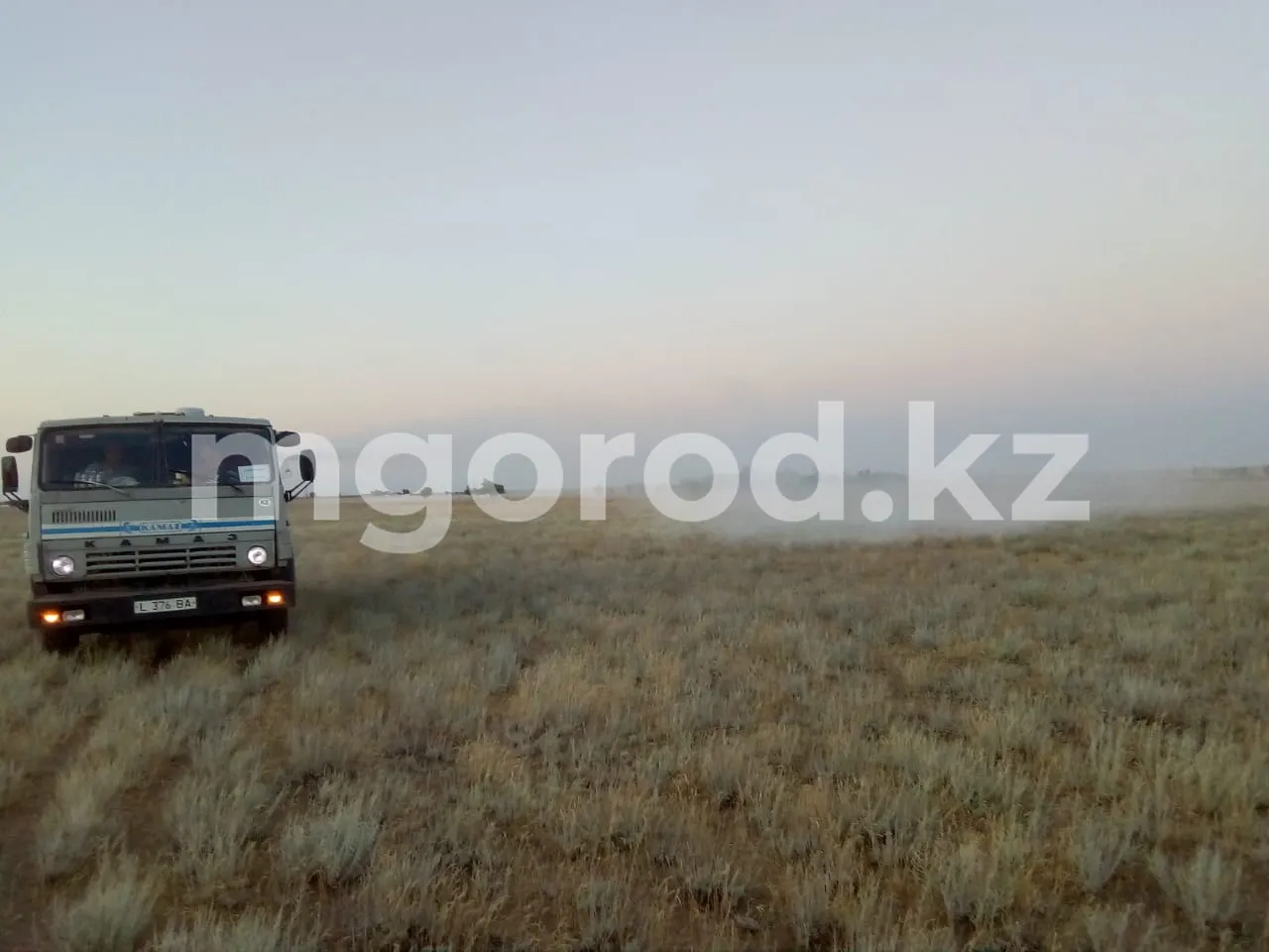 В ЗКО начали обрабатывать поля от саранчи