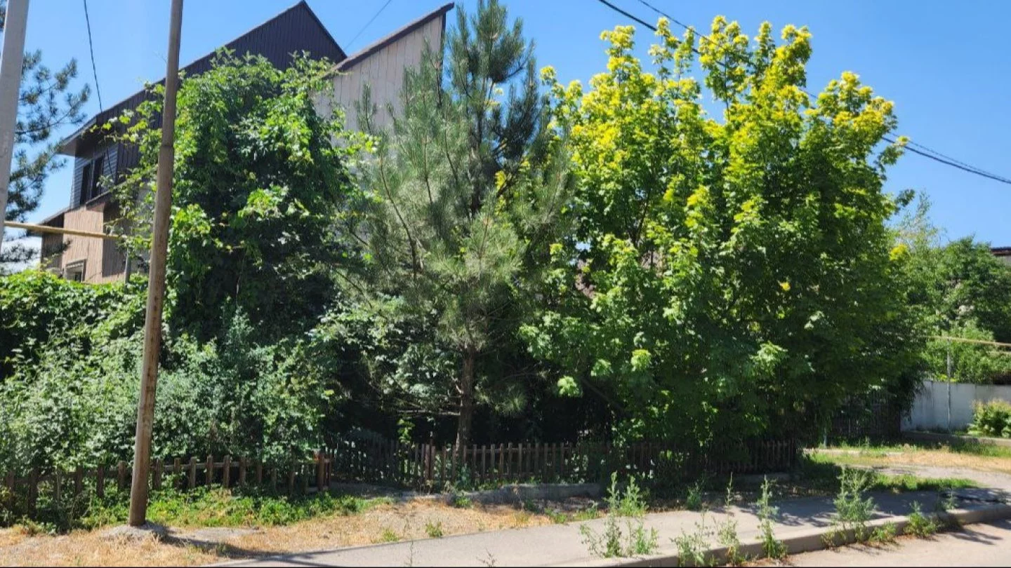 Жили очень замкнуто: соседи рассказали о семье, где мать задушила дочь и спрыгнула с колеса обозрения