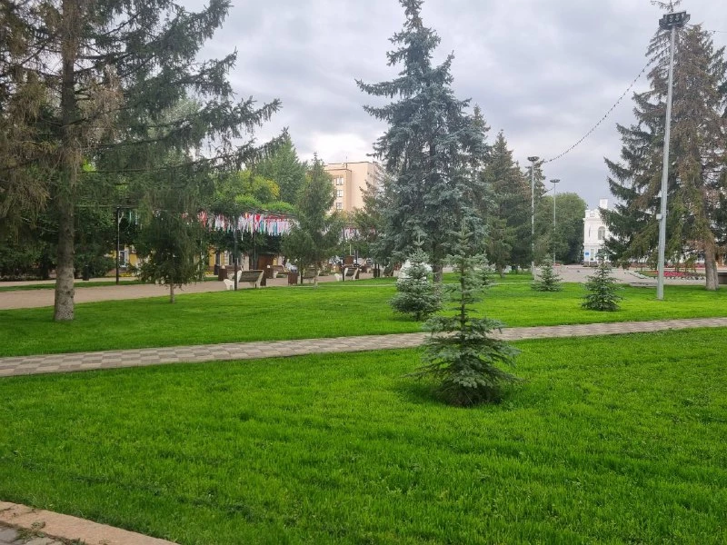 Грозу и град прогнозируют в ЗКО 29 июня