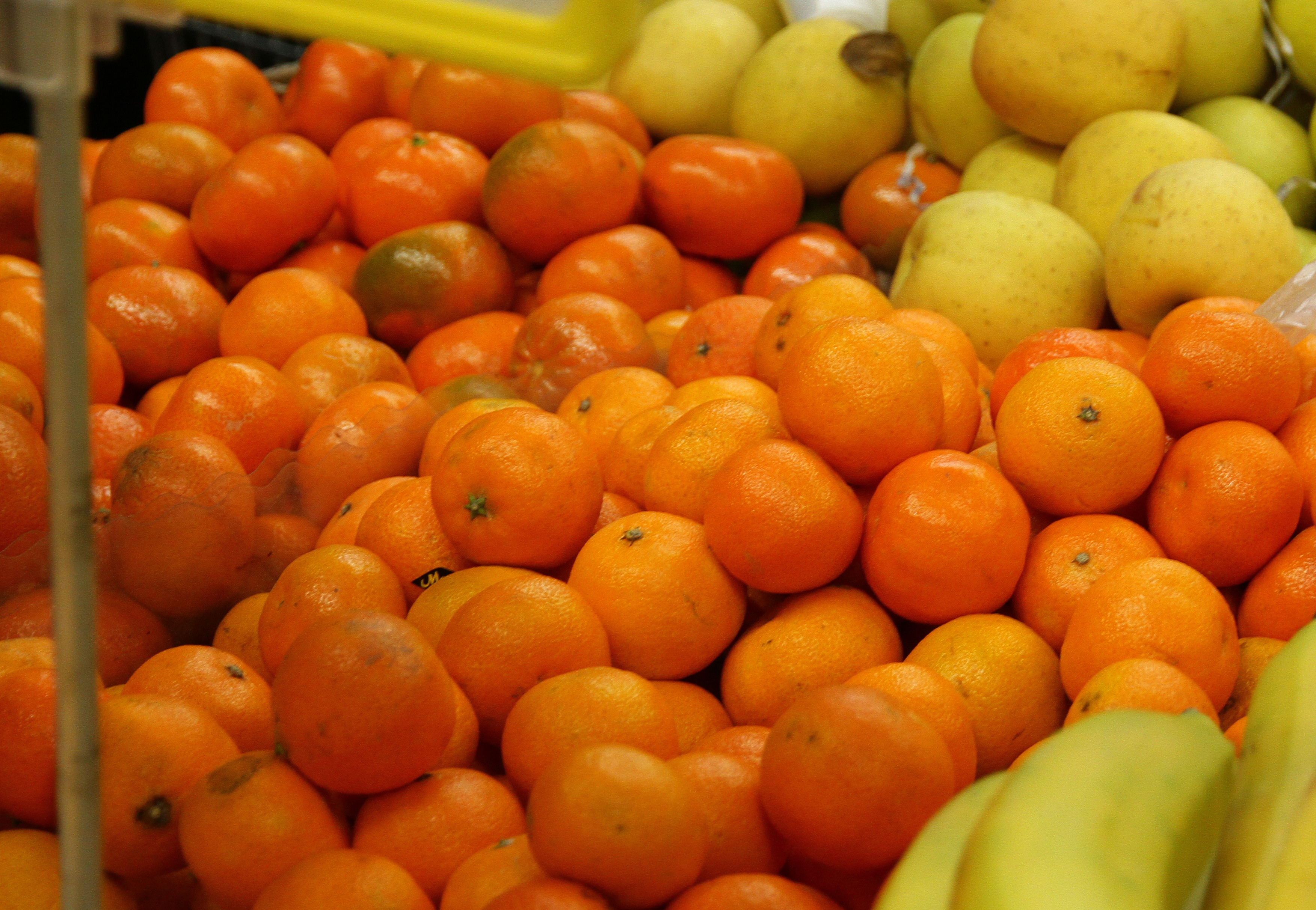 Из каких стран завозят мандарины в Казахстан?