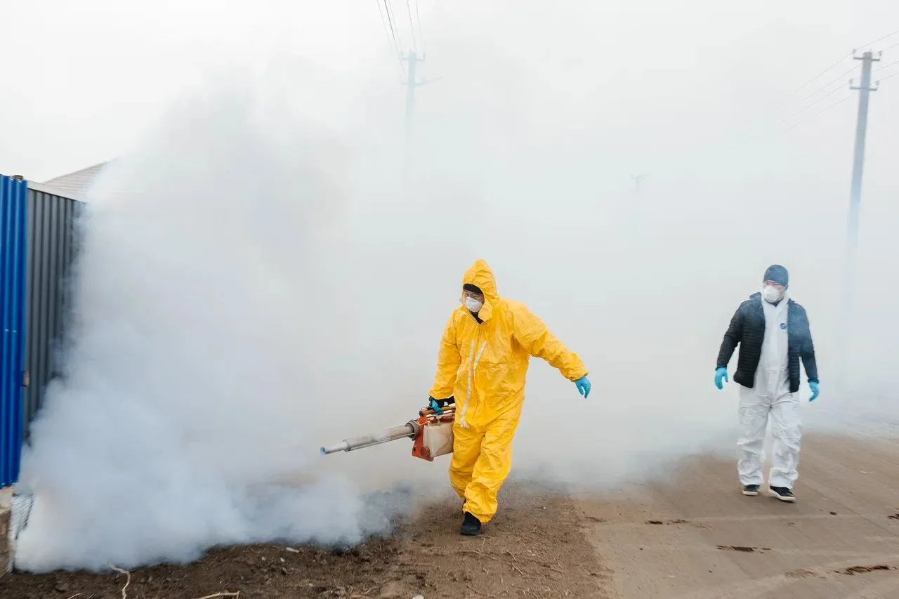 У отловленных в Атырауской области грызунов опасных инфекций не выявили