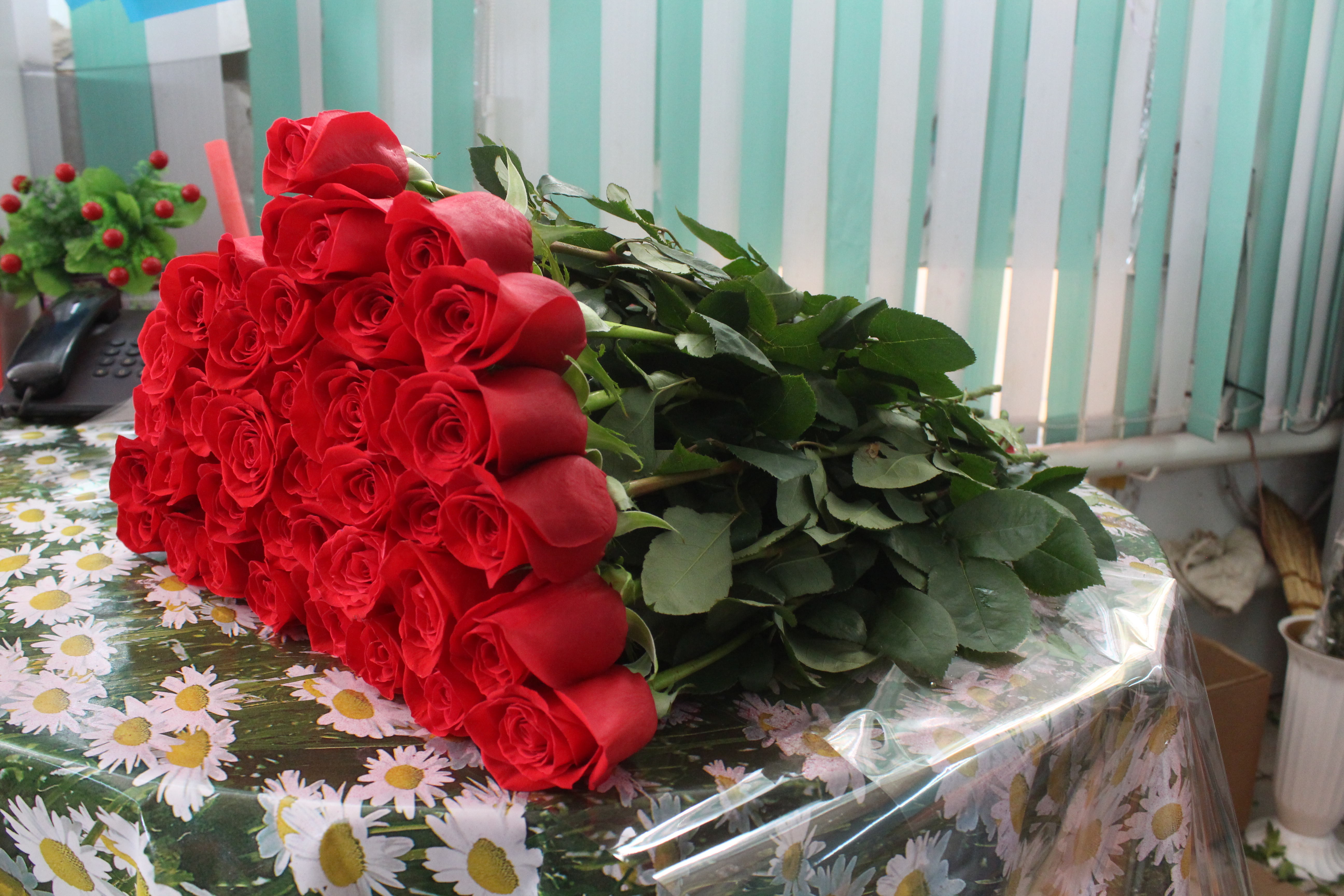 «И Айгульке, и Наташке»: Самые дешевые розы продают в ЗКО и Шымкенте