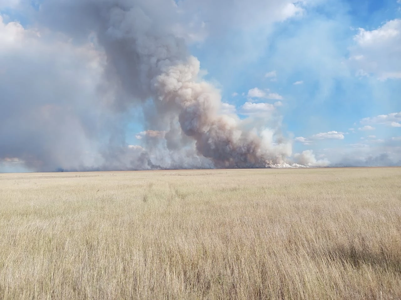 1000 гектаров сухой травы и сено в рулонах сгорело в ЗКО