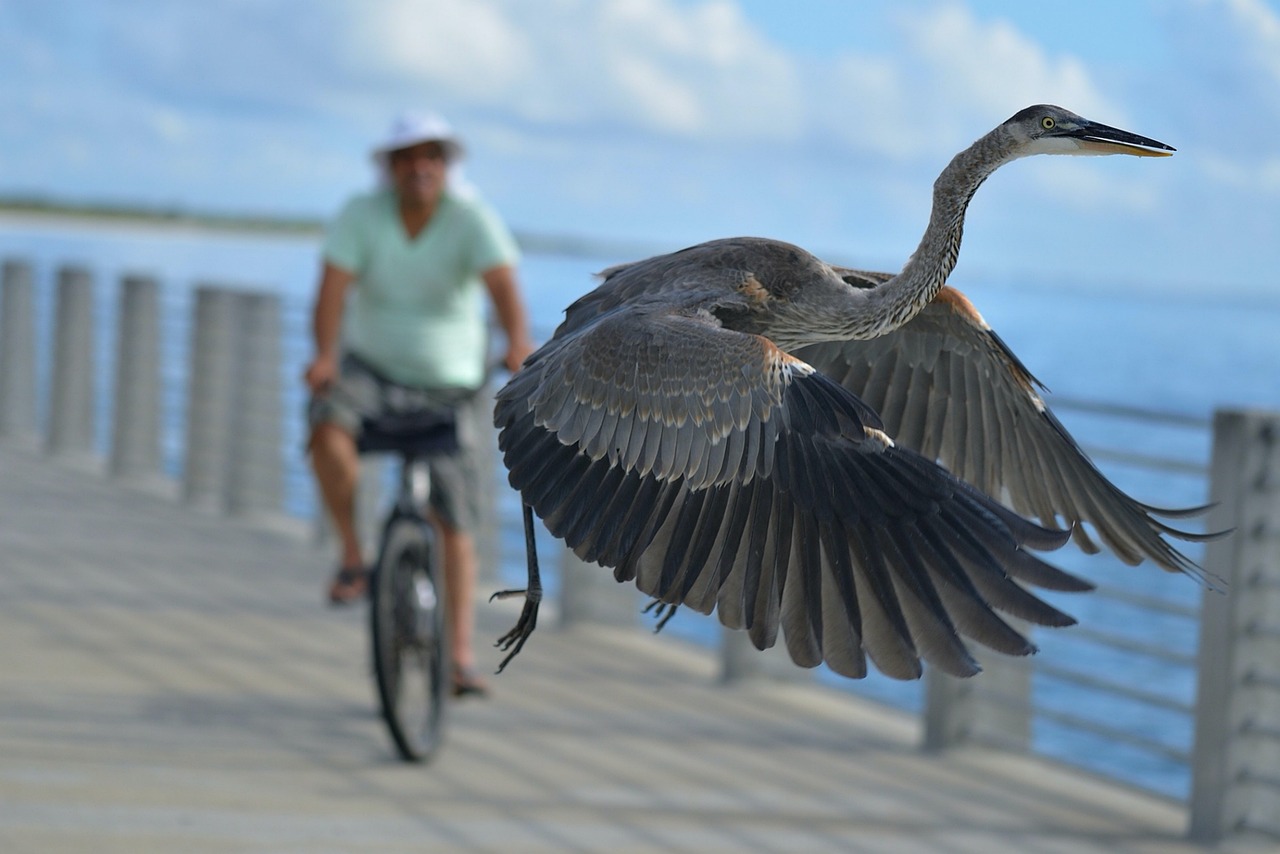 Три знака зодиака ждет приятный сюрприз на этой неделе