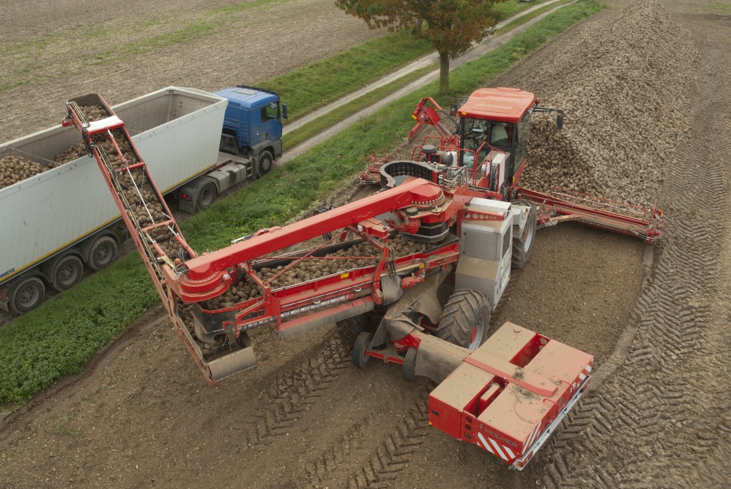 В 2024 году Казахстан достиг рекордного урожая сахарной свеклы