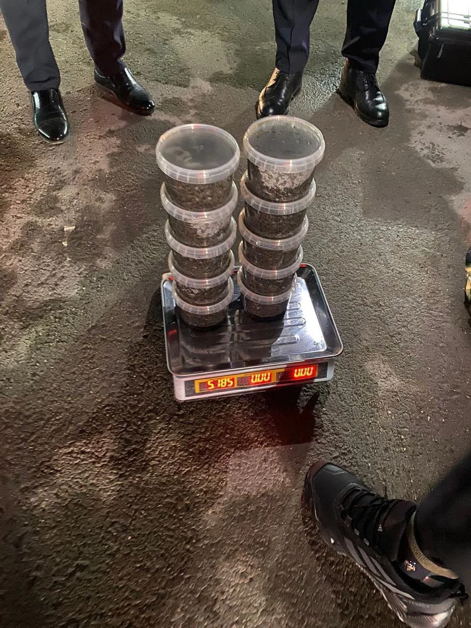 5 кг черной икры нашли у жителя Мангистауской области