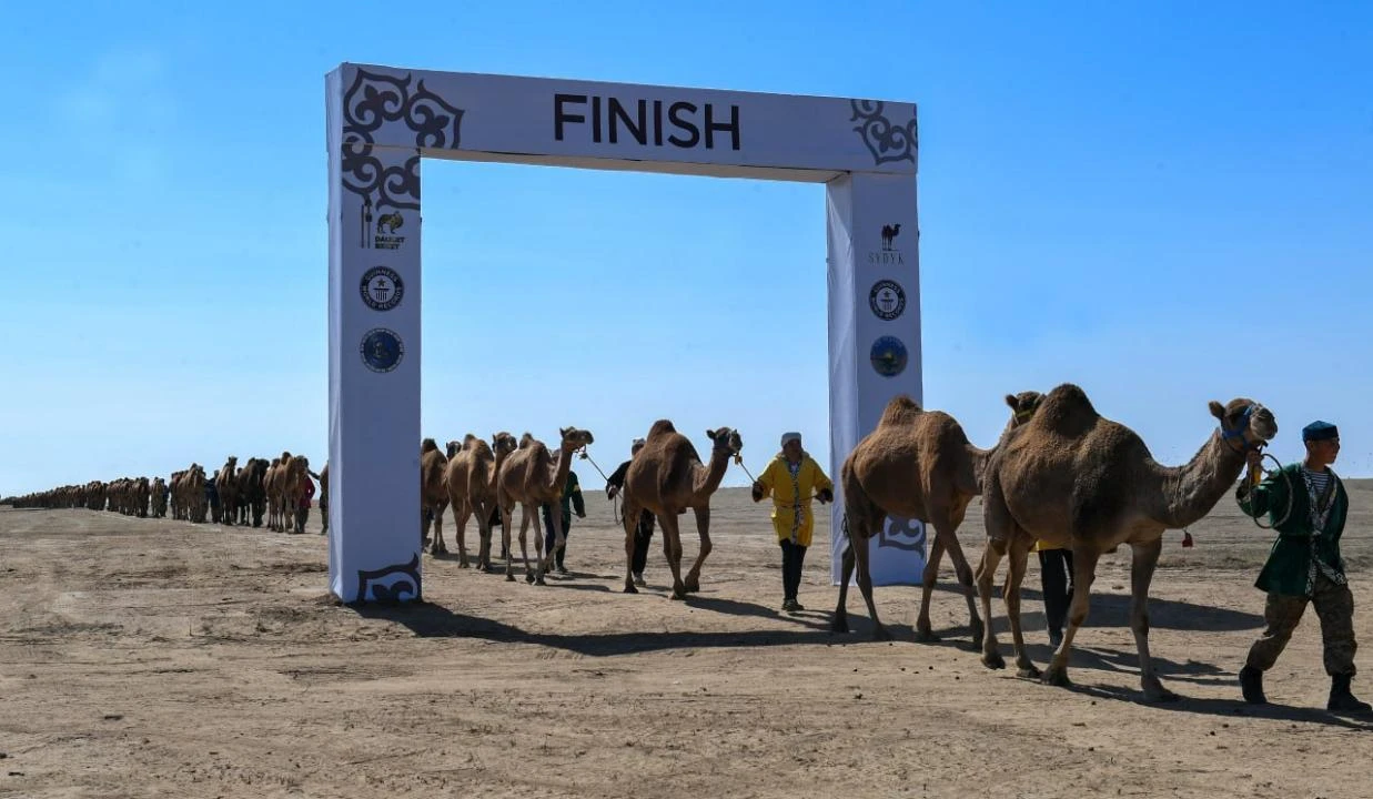 Казахстан установил мировой рекорд: прошёл самый большой караван верблюдов