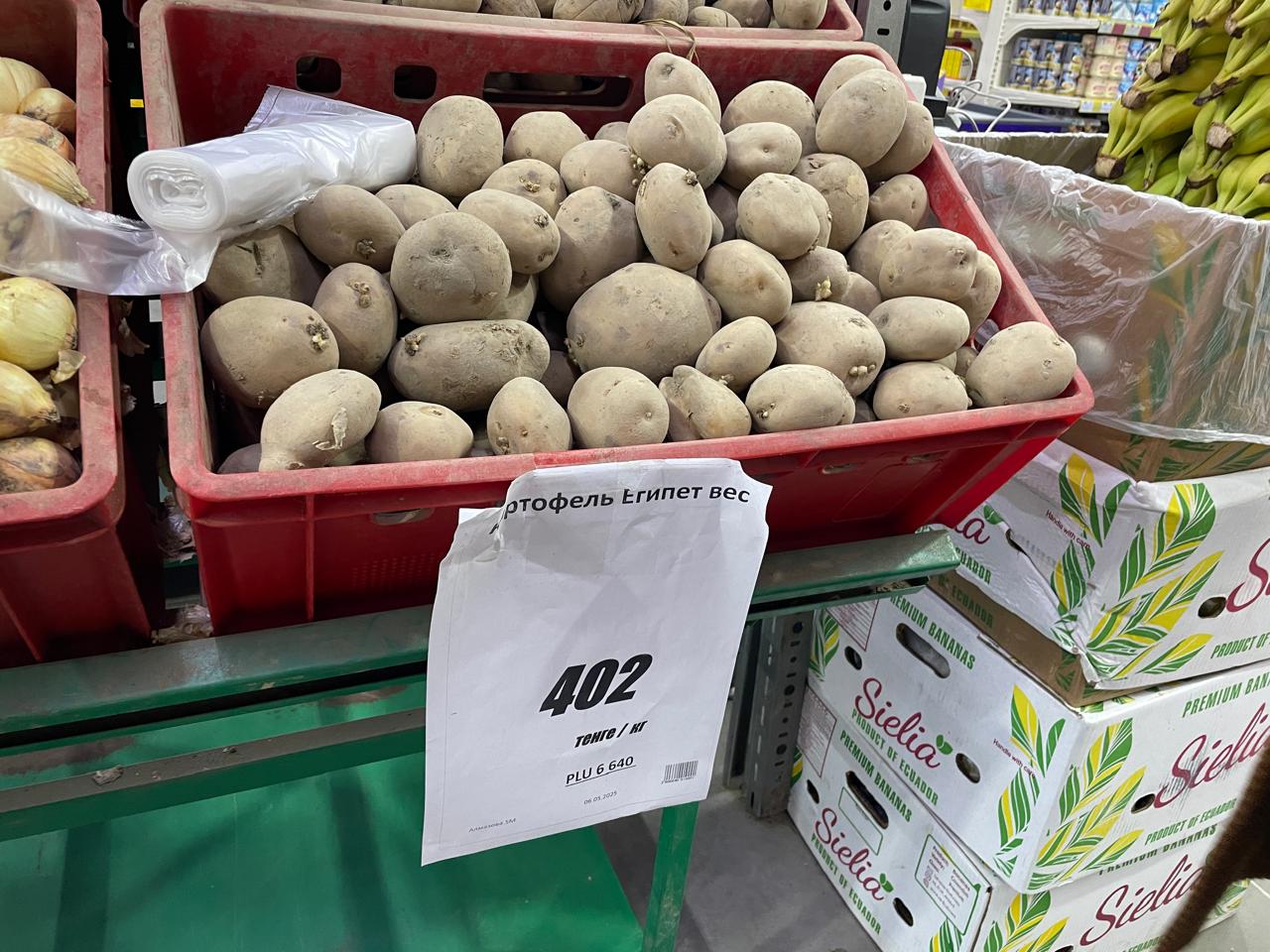 Что будет с ценами на картофель в Казахстане
