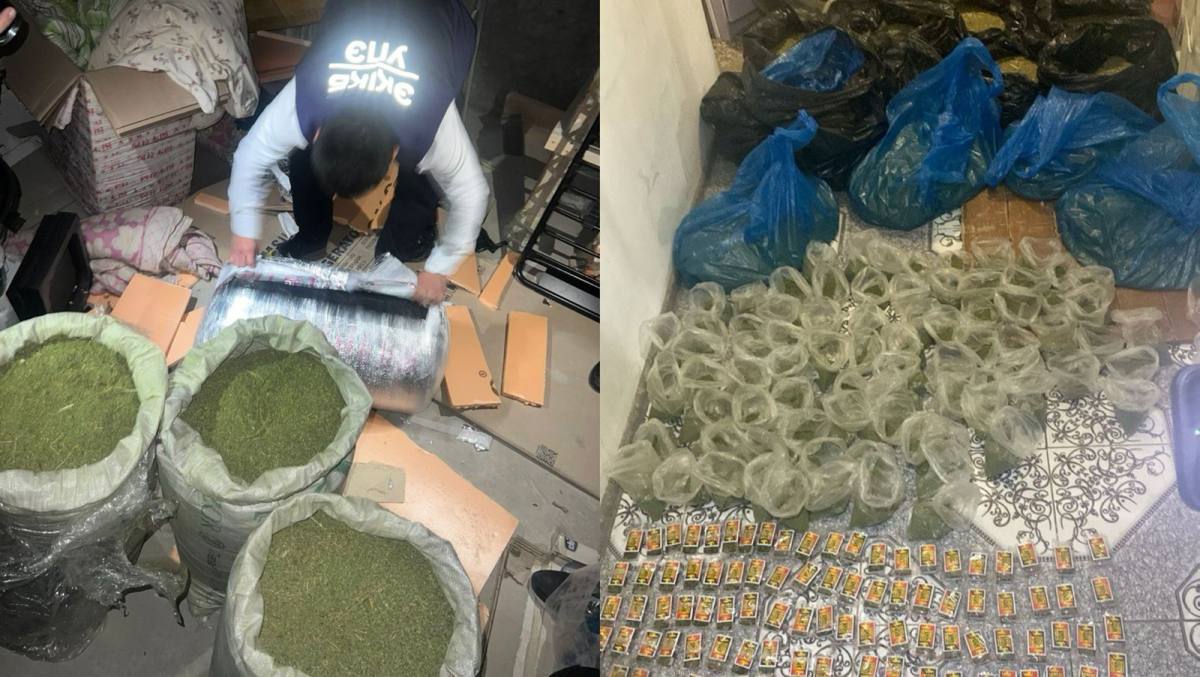 Ақтауда 196 келі марихуана тәркіленді