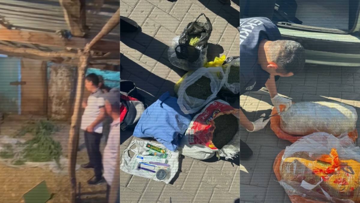 С начала года полицейские изъяли более 11 тонн наркотиков