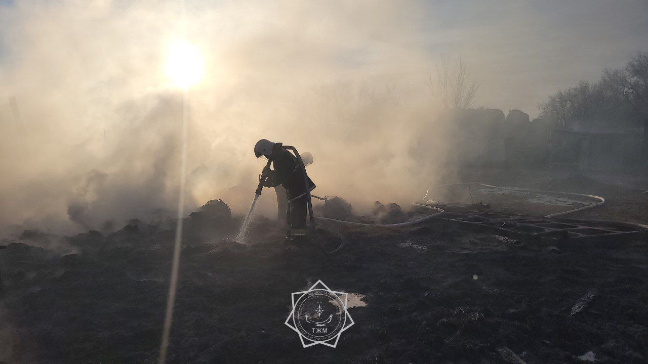 14 голов КРС погибло из-за пожара в селе ЗКО