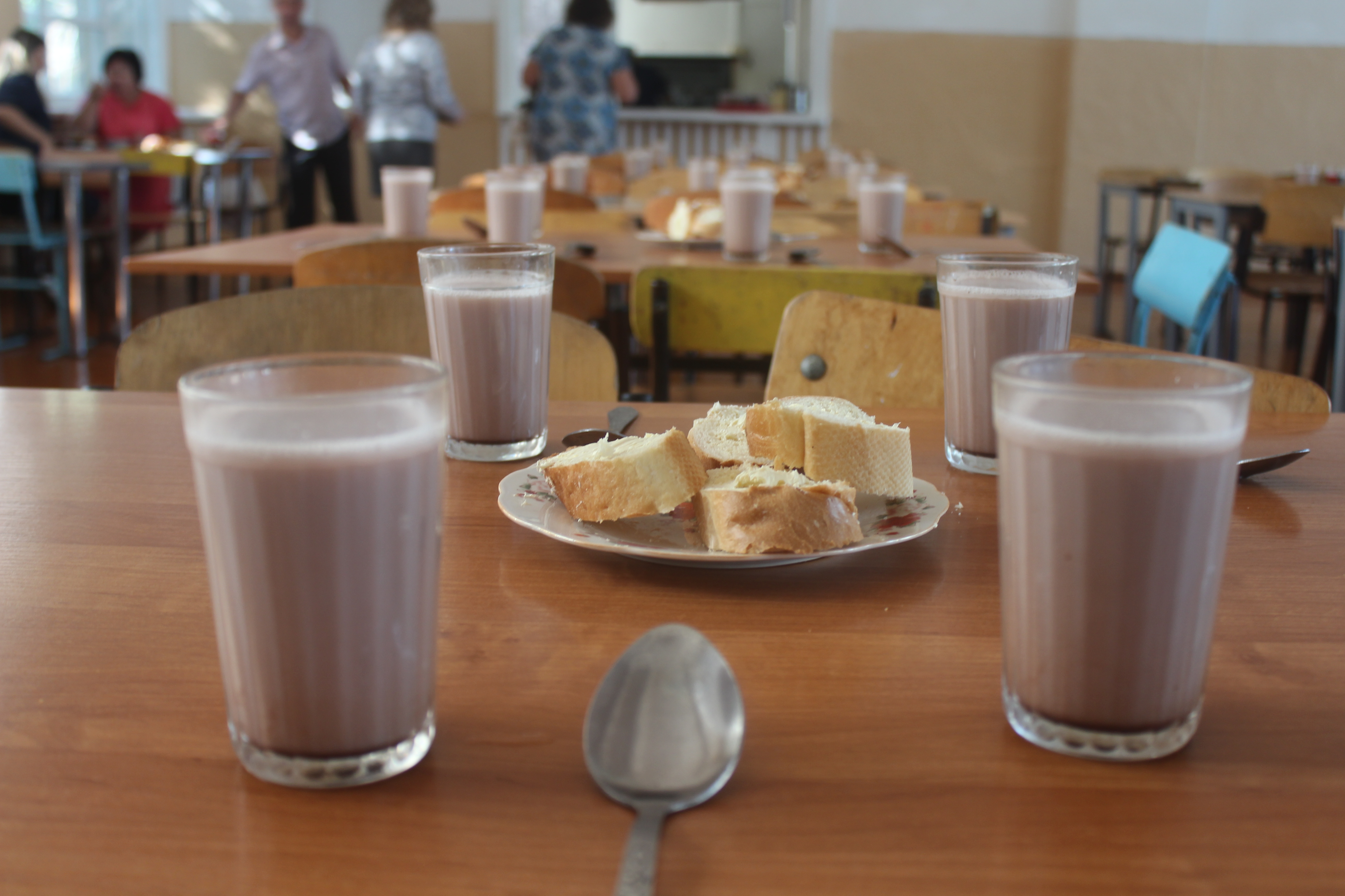 Новый стандарт питания введут с 1 сентября в школах Казахстана