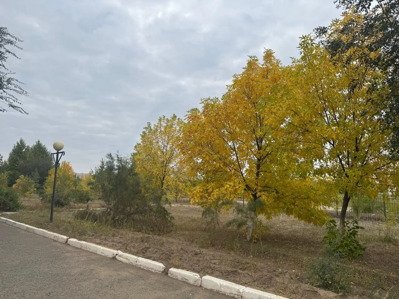 Прогноз погоды для жителей западного Казахстана на 22 сентября