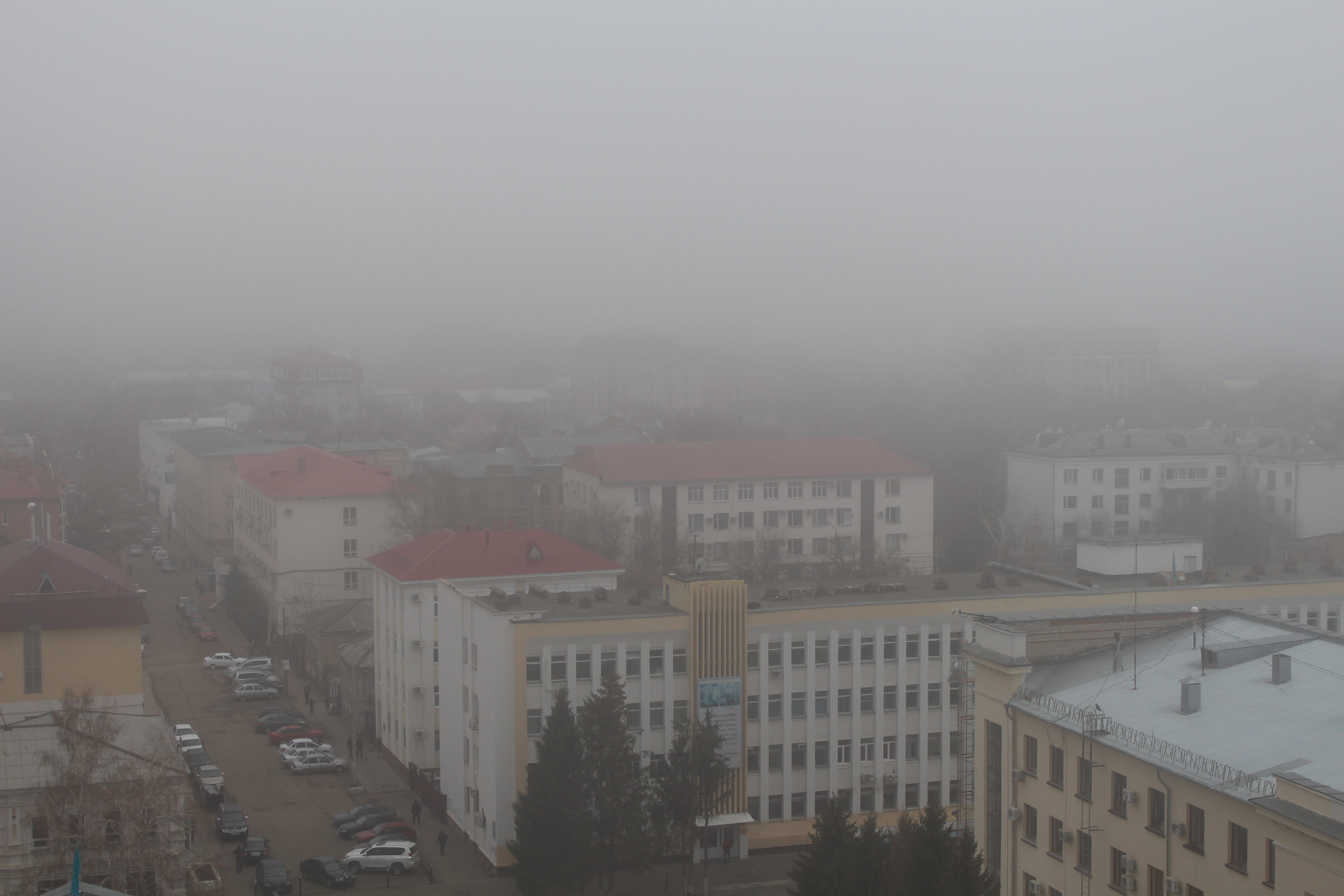 До 20 градусов тепла ожидается в ЗКО 13 апреля