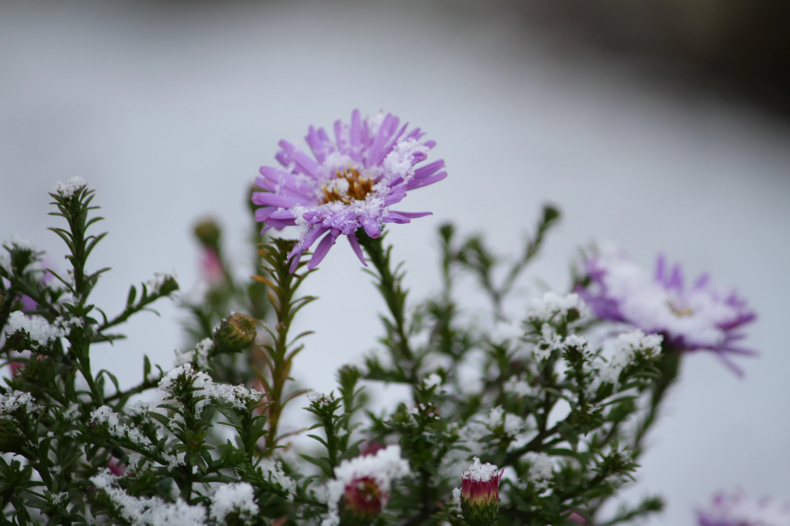 Какая погода ожидает жителей западного Казахстана 9 июня