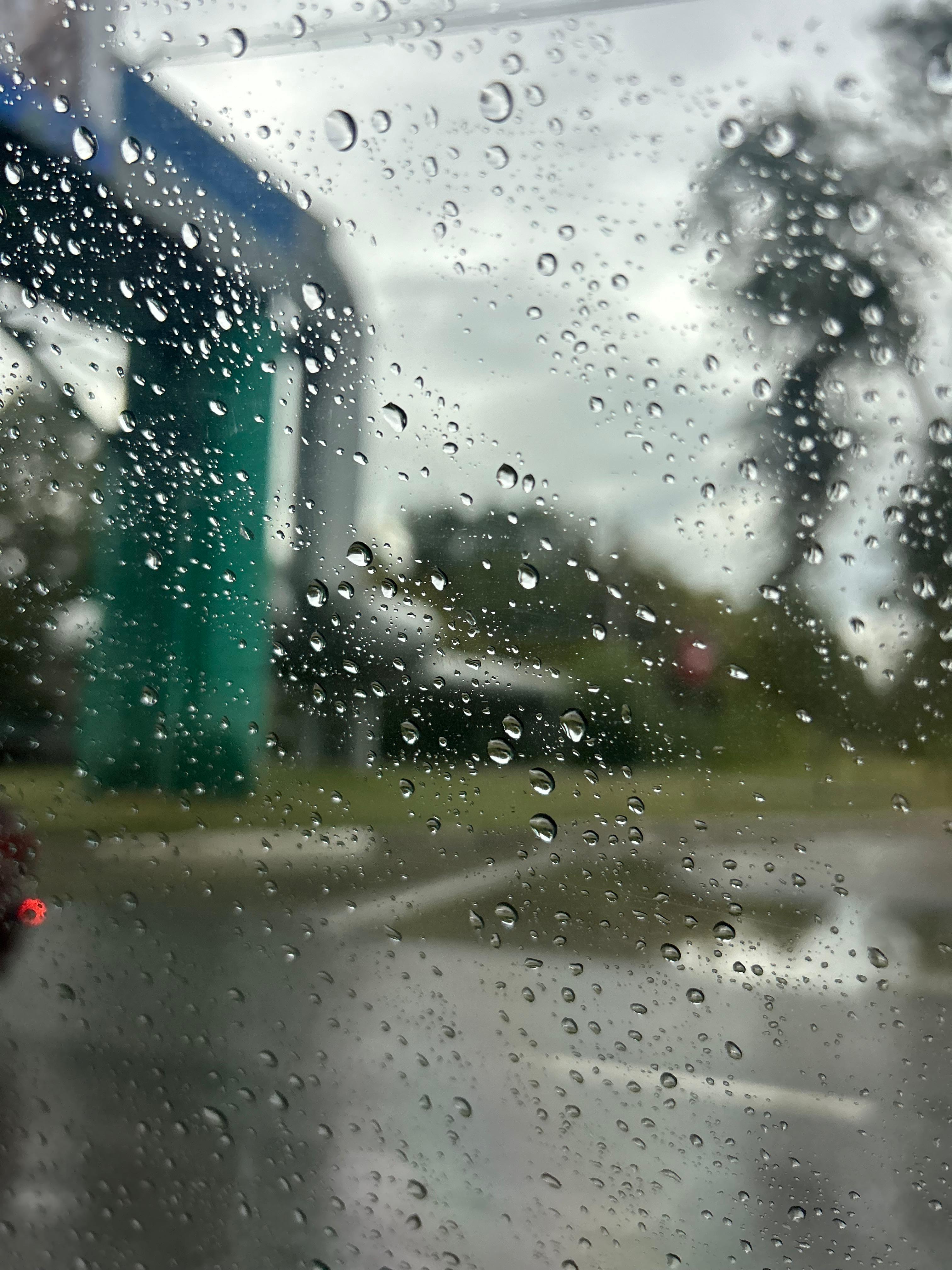 3 сәуірде Батыс өңірінде жаңбыр жауады