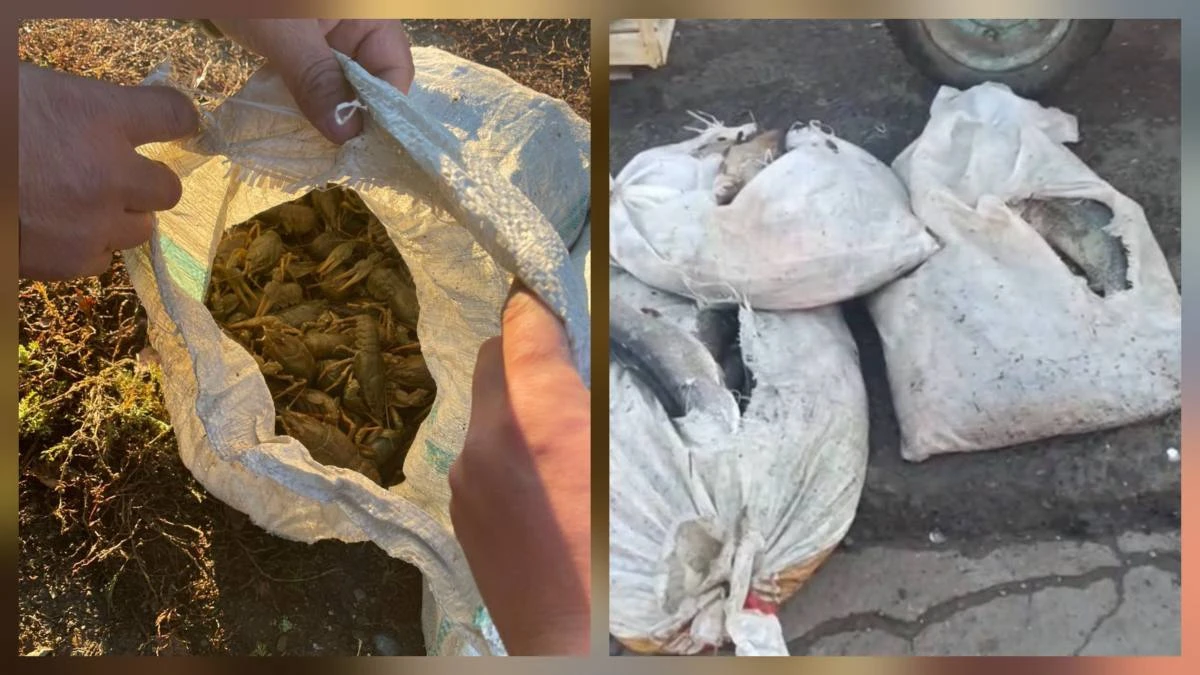 Житель ЗКО незаконно перевозил 10 мешков раков