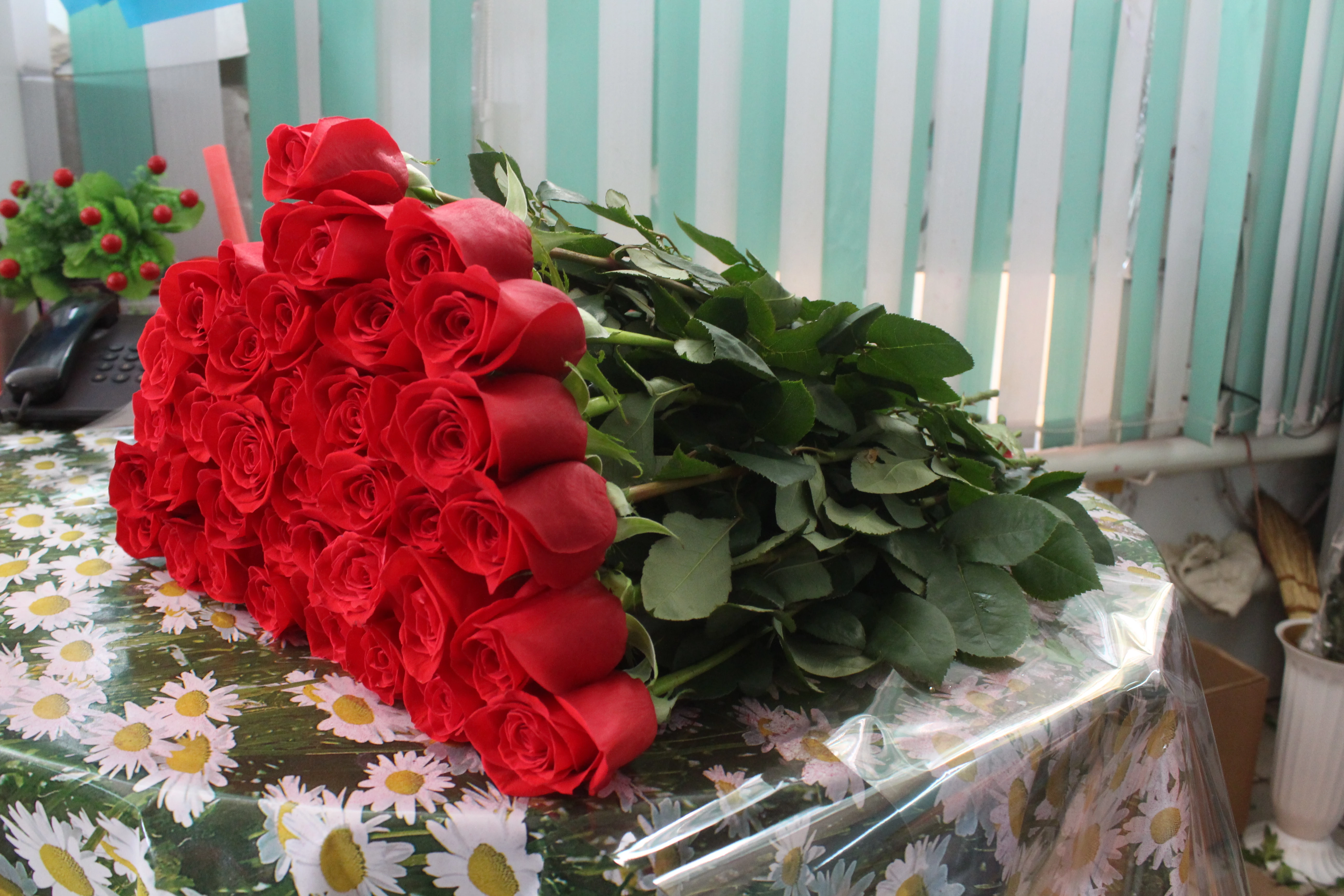 Россия запретила ввоз срезанных цветов из Казахстана. Сколько цветов ввозили в РФ из ЗКО