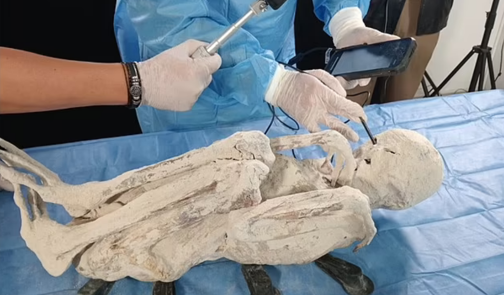 Ученые из Перу обнаружили настоящих пришельцев