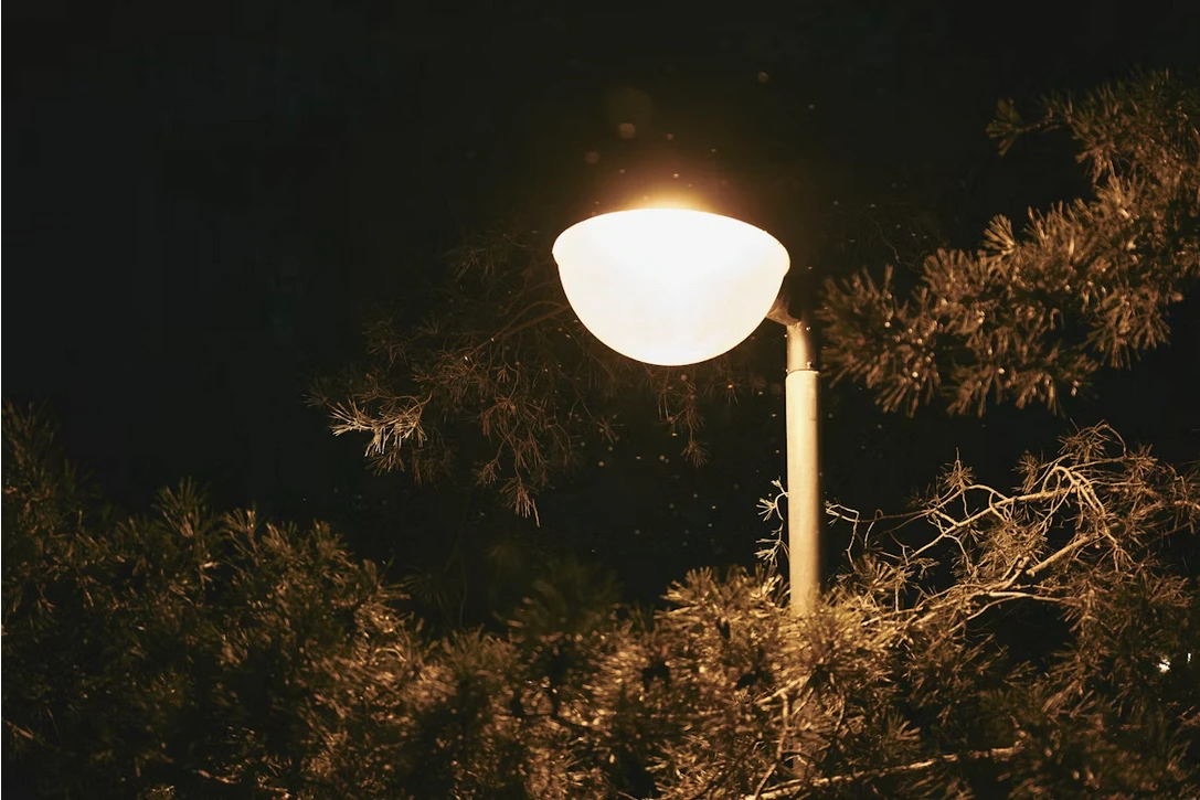 Житель Актобе сначала отпинал, а потом справил нужду на фонарный столб