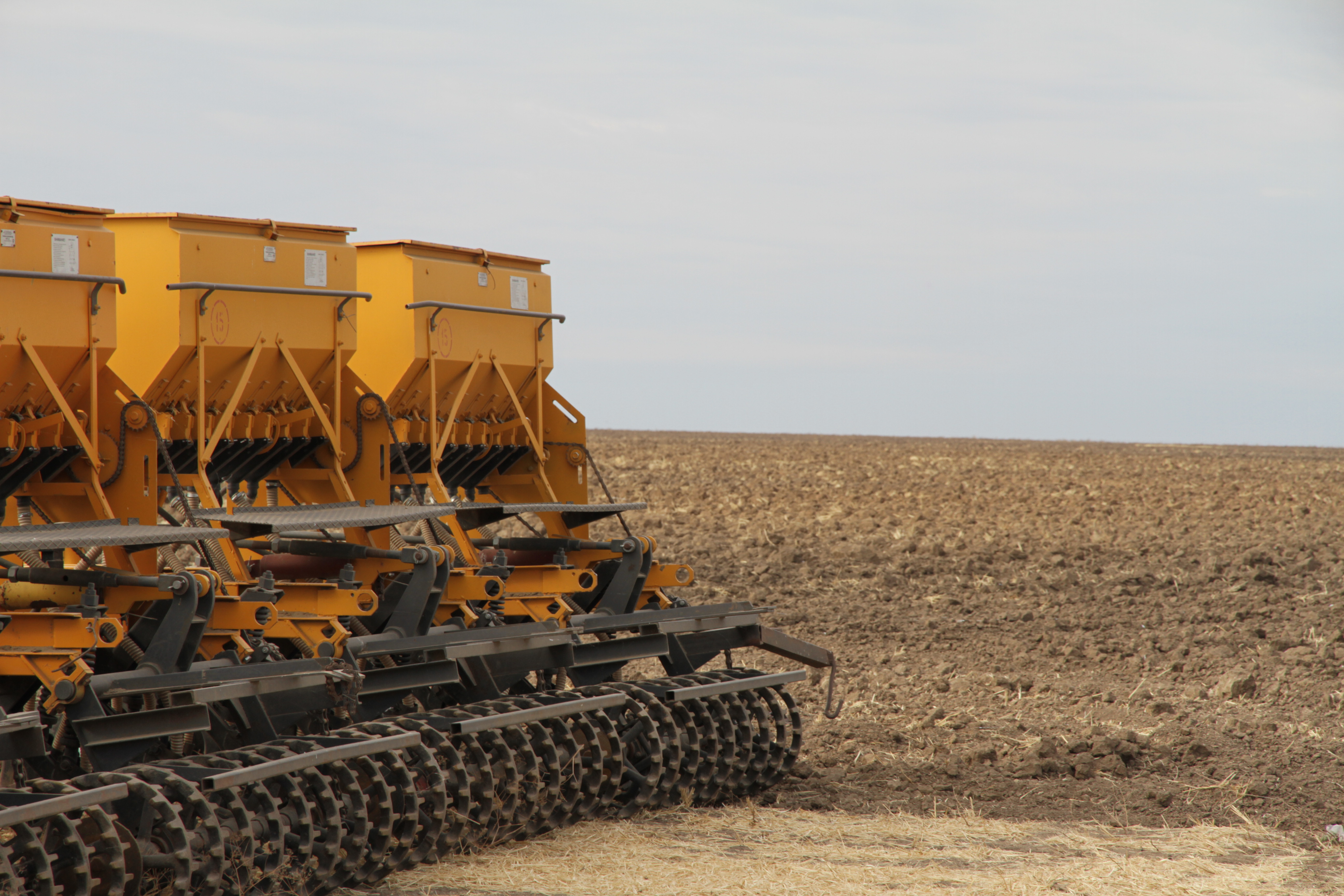 Ақтөбе облысында егістік алқабы 723 мың га құрады