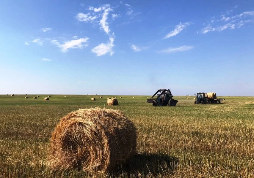 Об умышленном поджоге сена сообщают жители района ЗКО