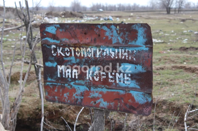 Большинство скотомогильников ЗКО заполнены