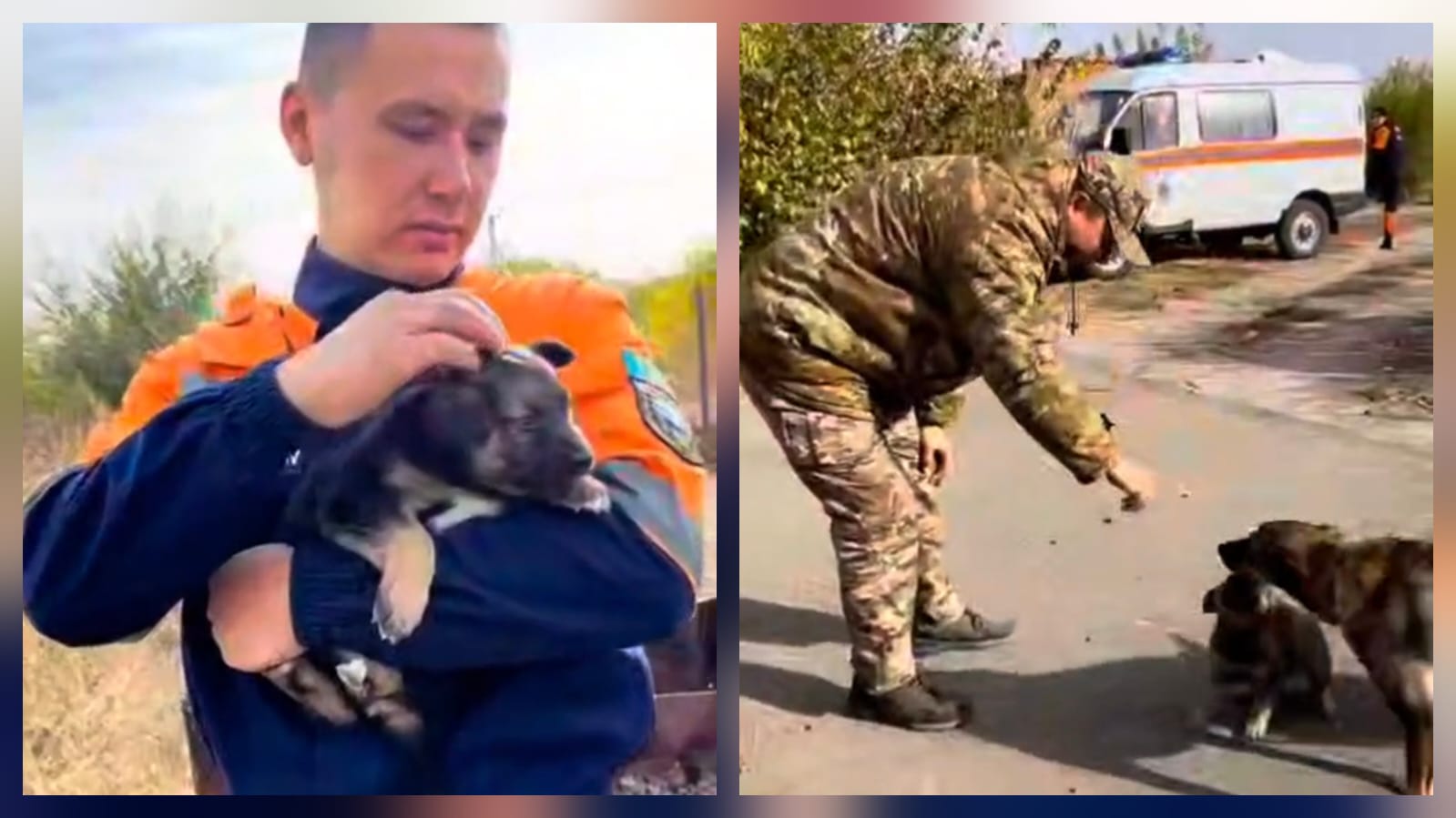 Спасатели и пожарные ЗКО накормили собак и почистили им вольеры