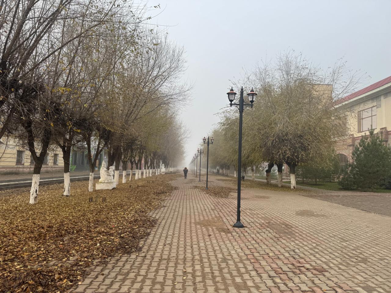 Погода на завтра в Уральске: облачно, ветер и прохлада