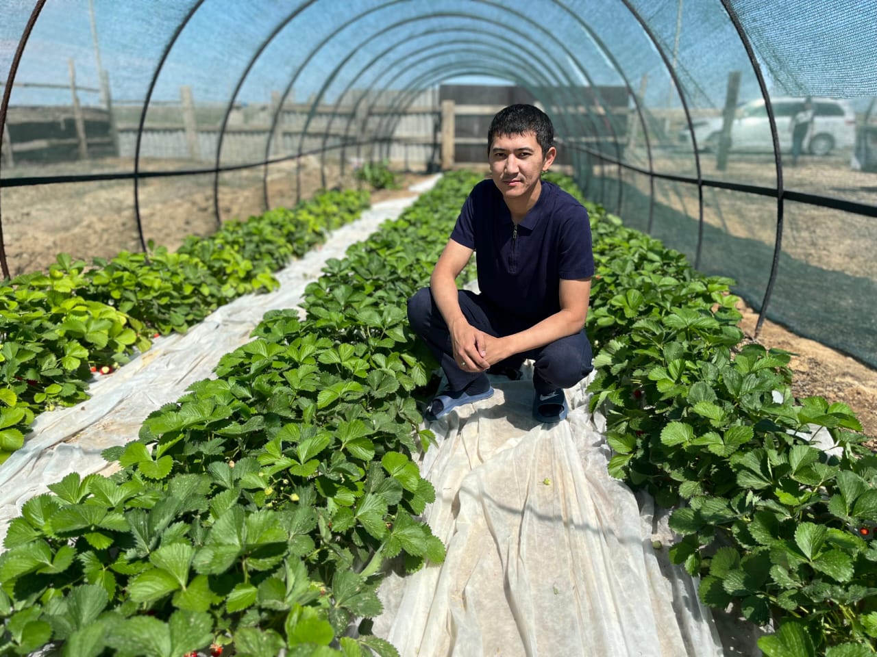 Жители неплодоносных районов Атырауской области выращивают клубнику